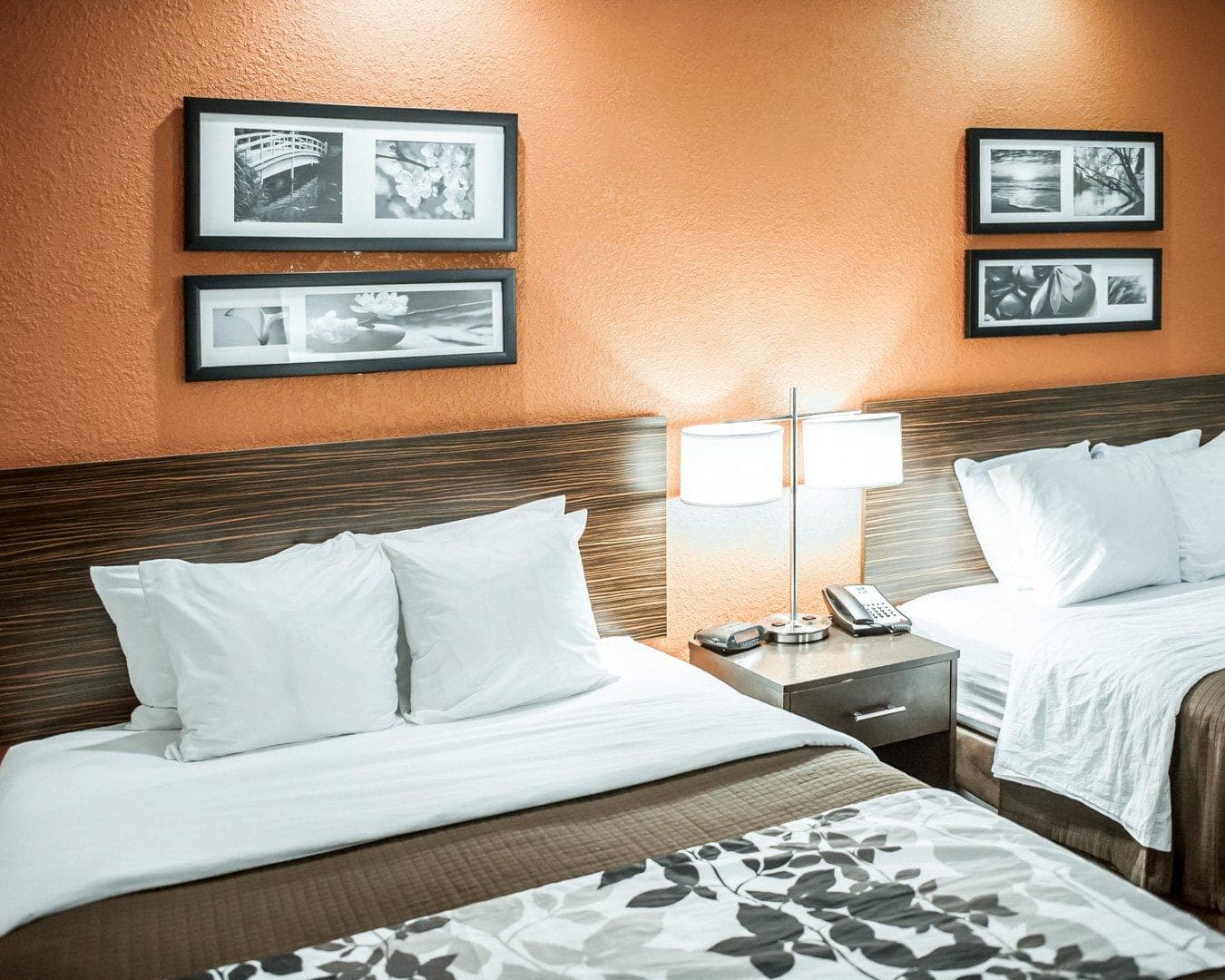 Sleep Inn O'Fallon near I-64 — 14