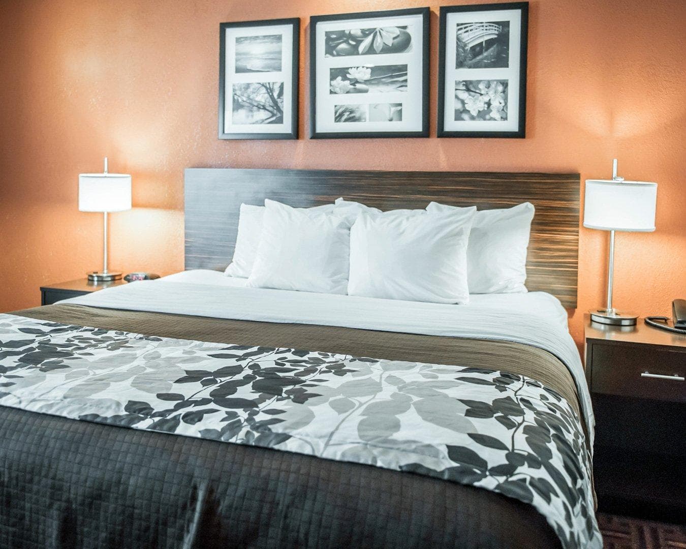 Sleep Inn O'Fallon near I-64 — 18