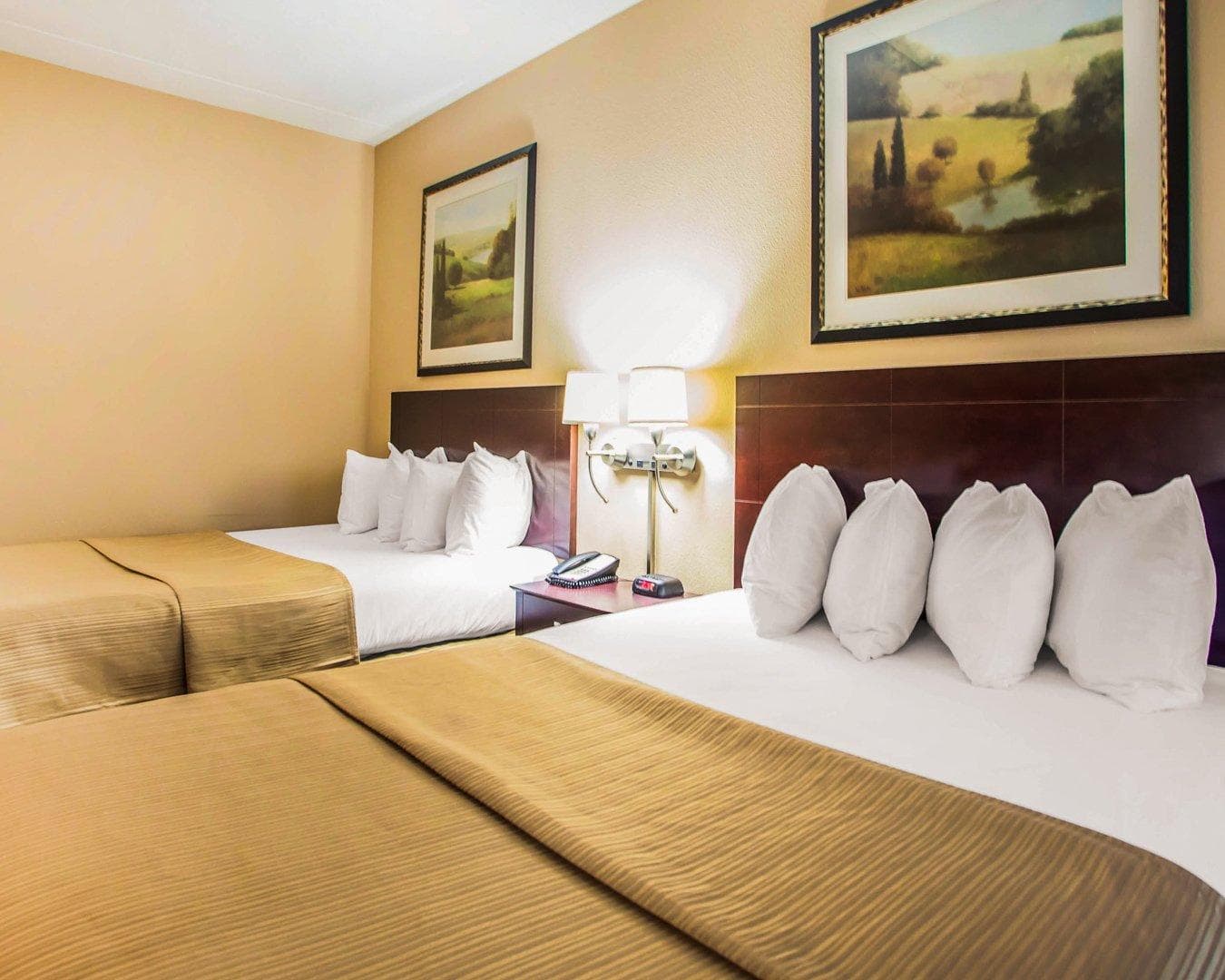 Quality Inn & Suites Peoria North — 11