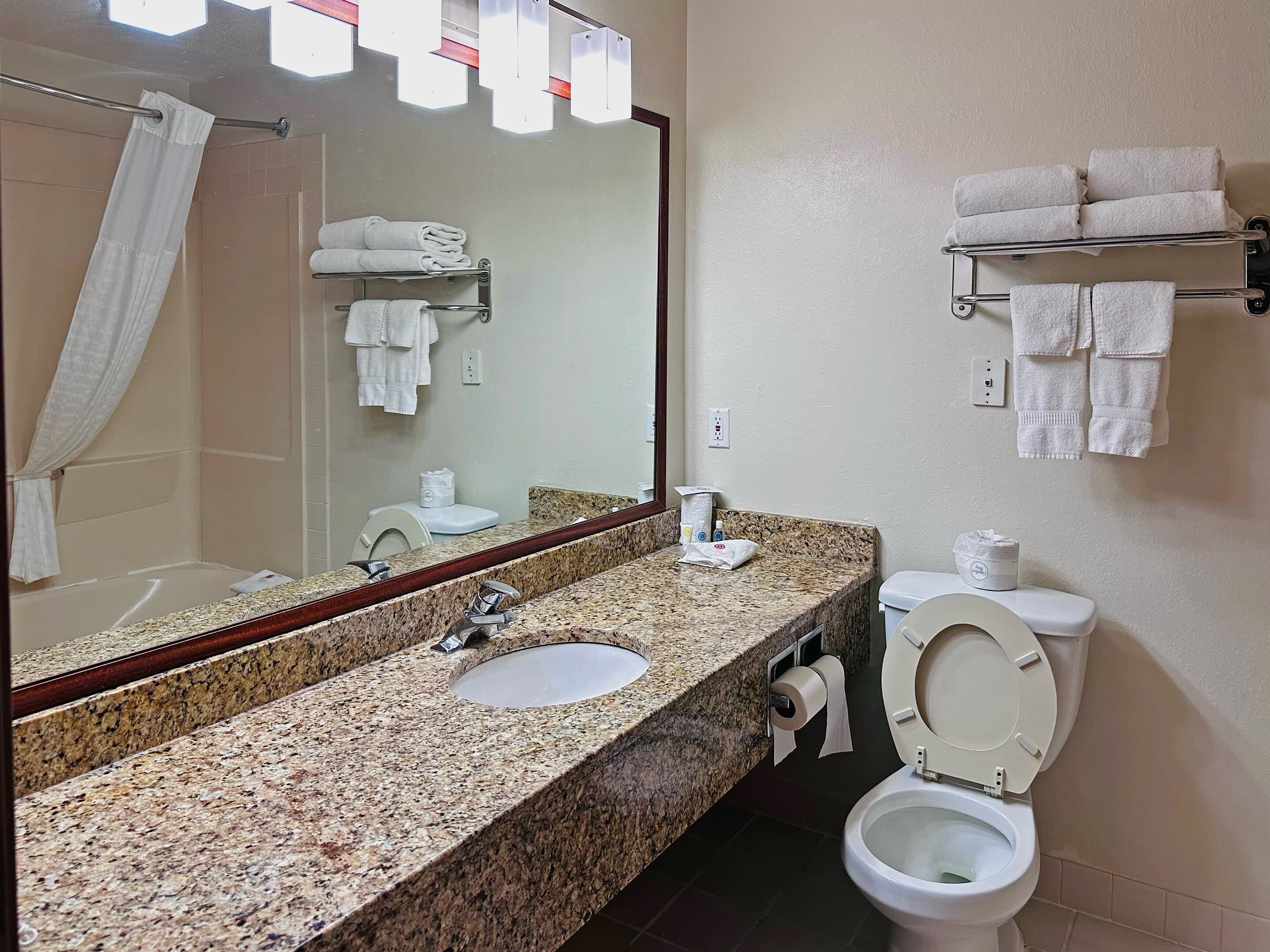 Comfort Inn & Suites Morton - Peoria — 7