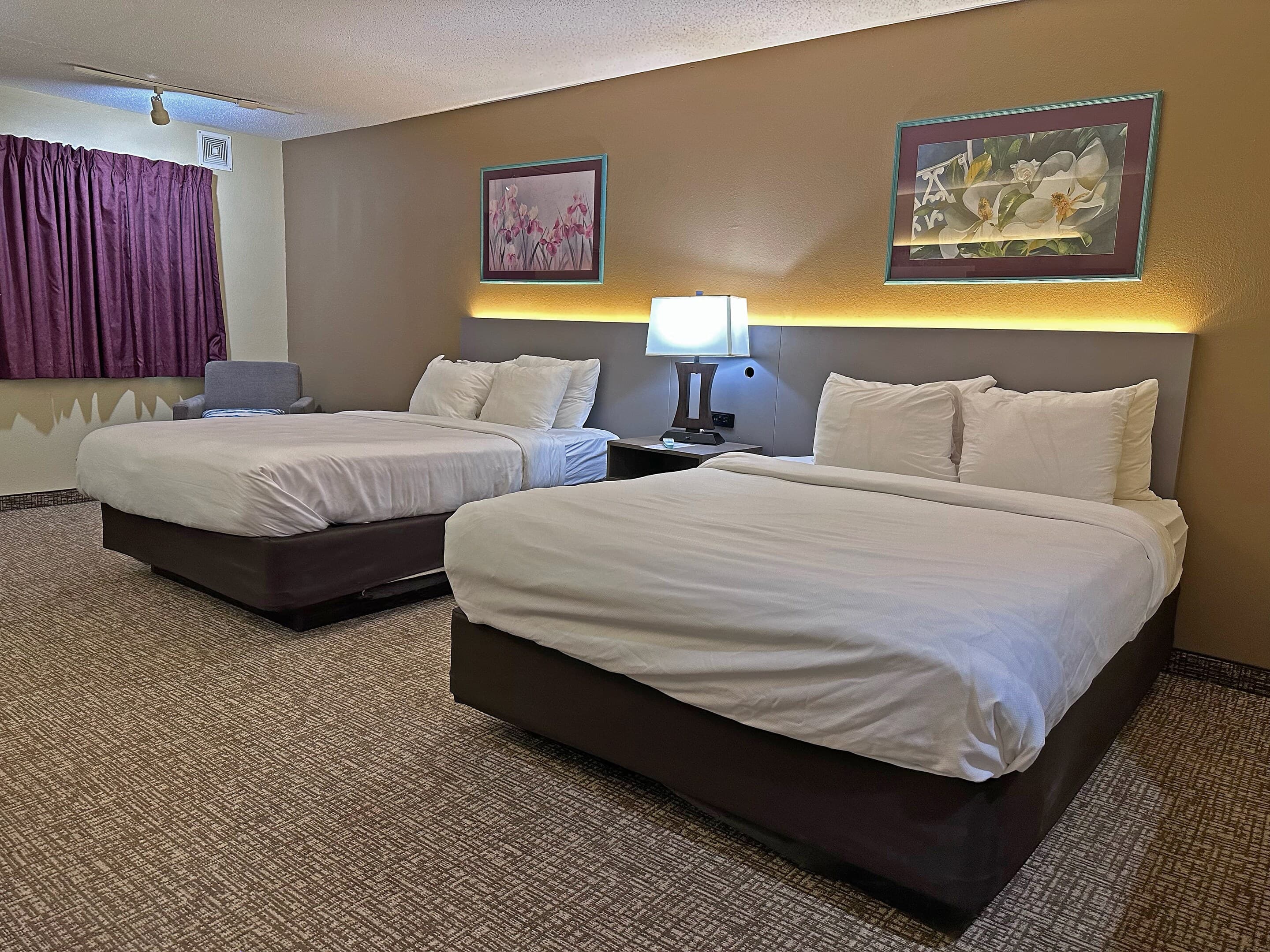 Comfort Inn & Suites Morton - Peoria — 18