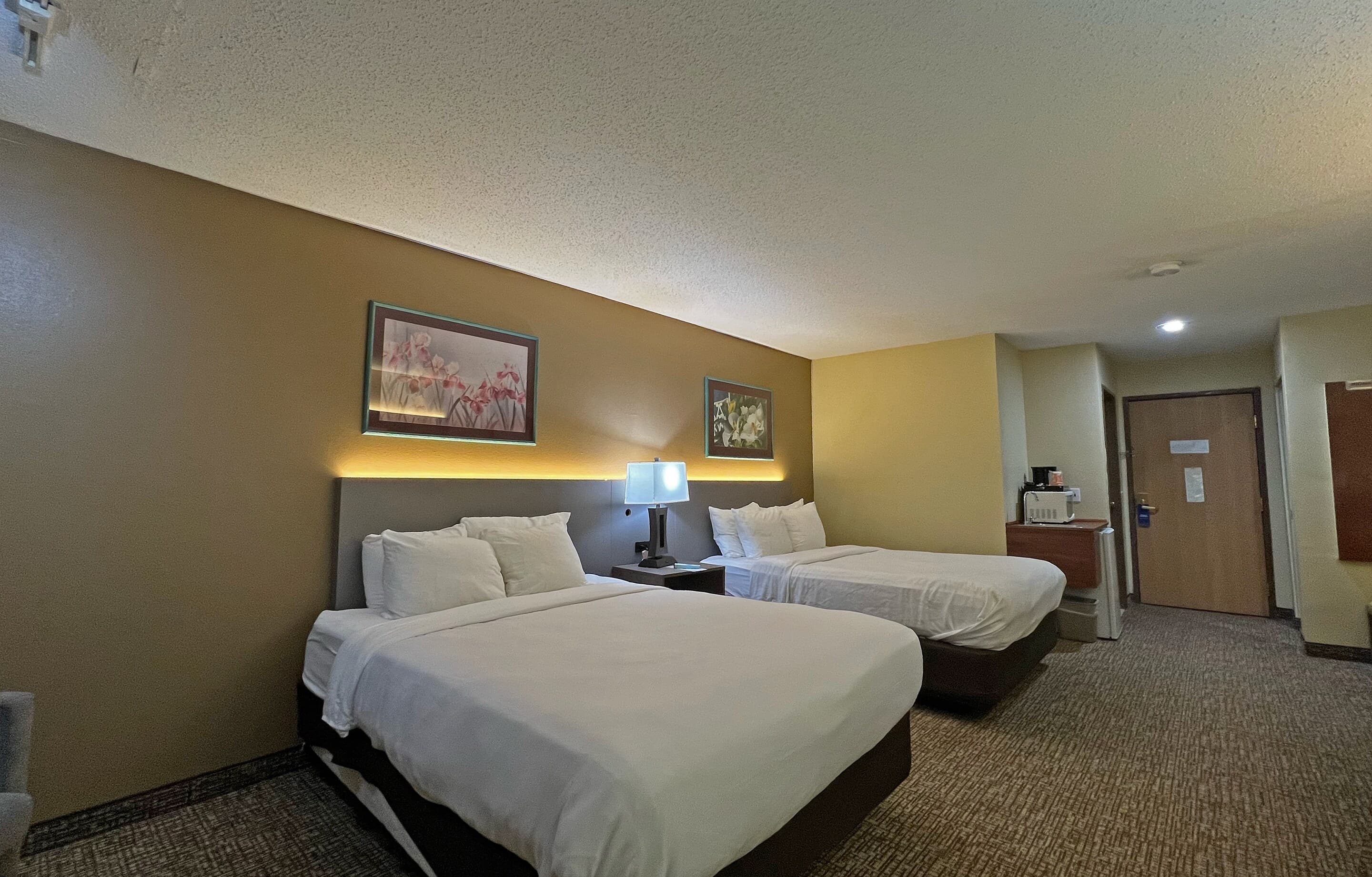 Comfort Inn & Suites Morton - Peoria — 20