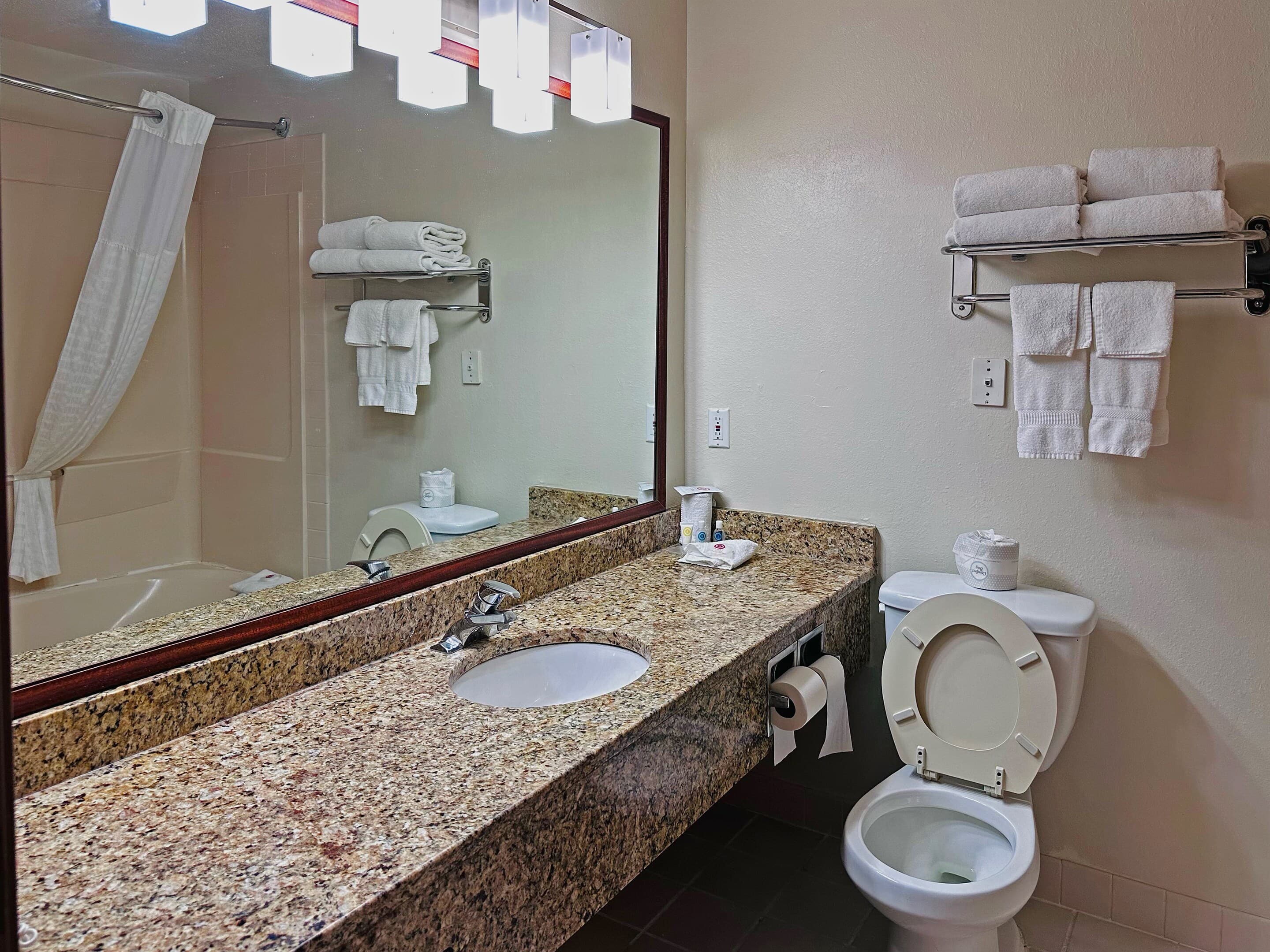 Comfort Inn & Suites Morton - Peoria — 22