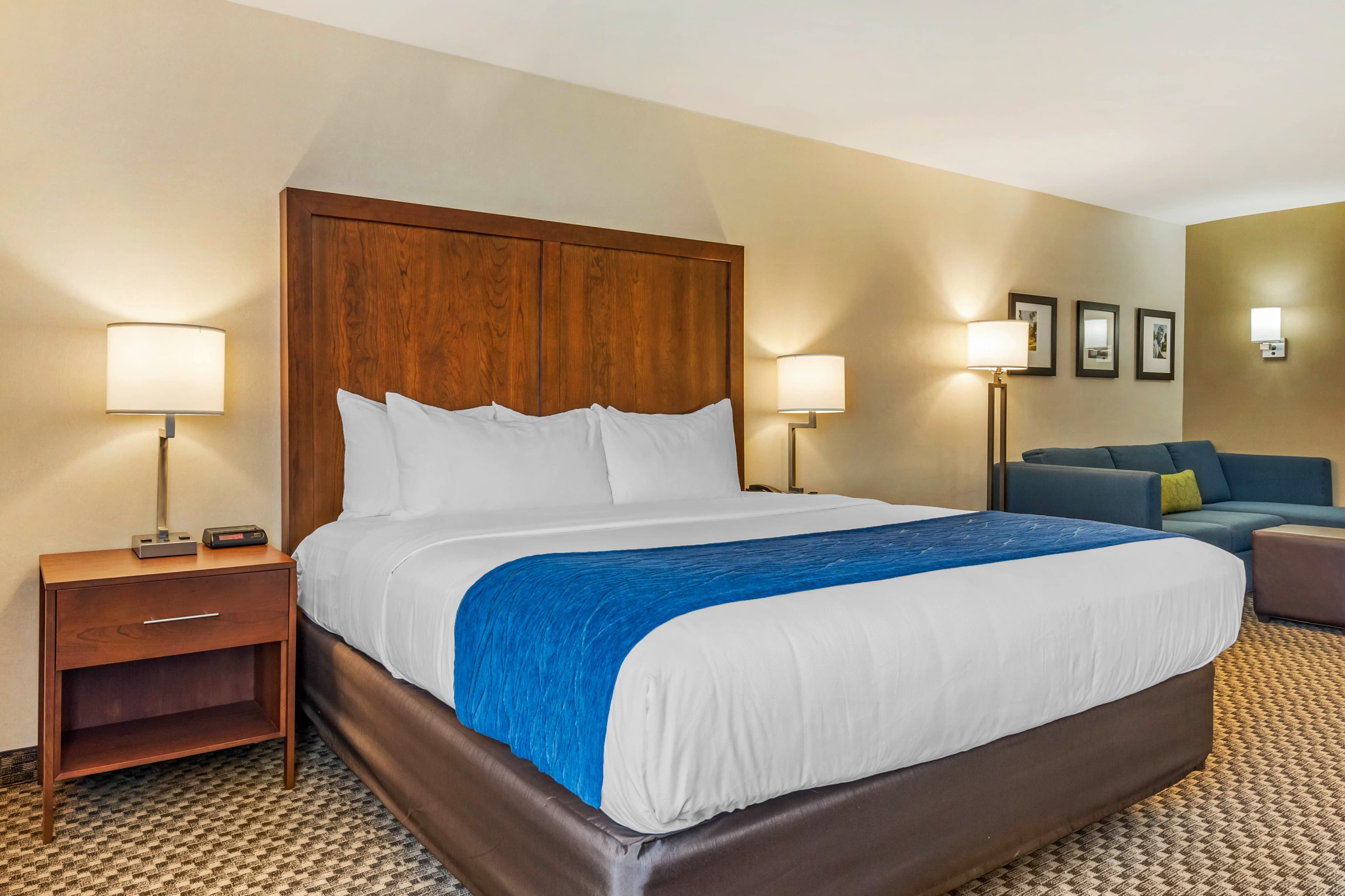 Comfort Inn & Suites near Route 66 — 31