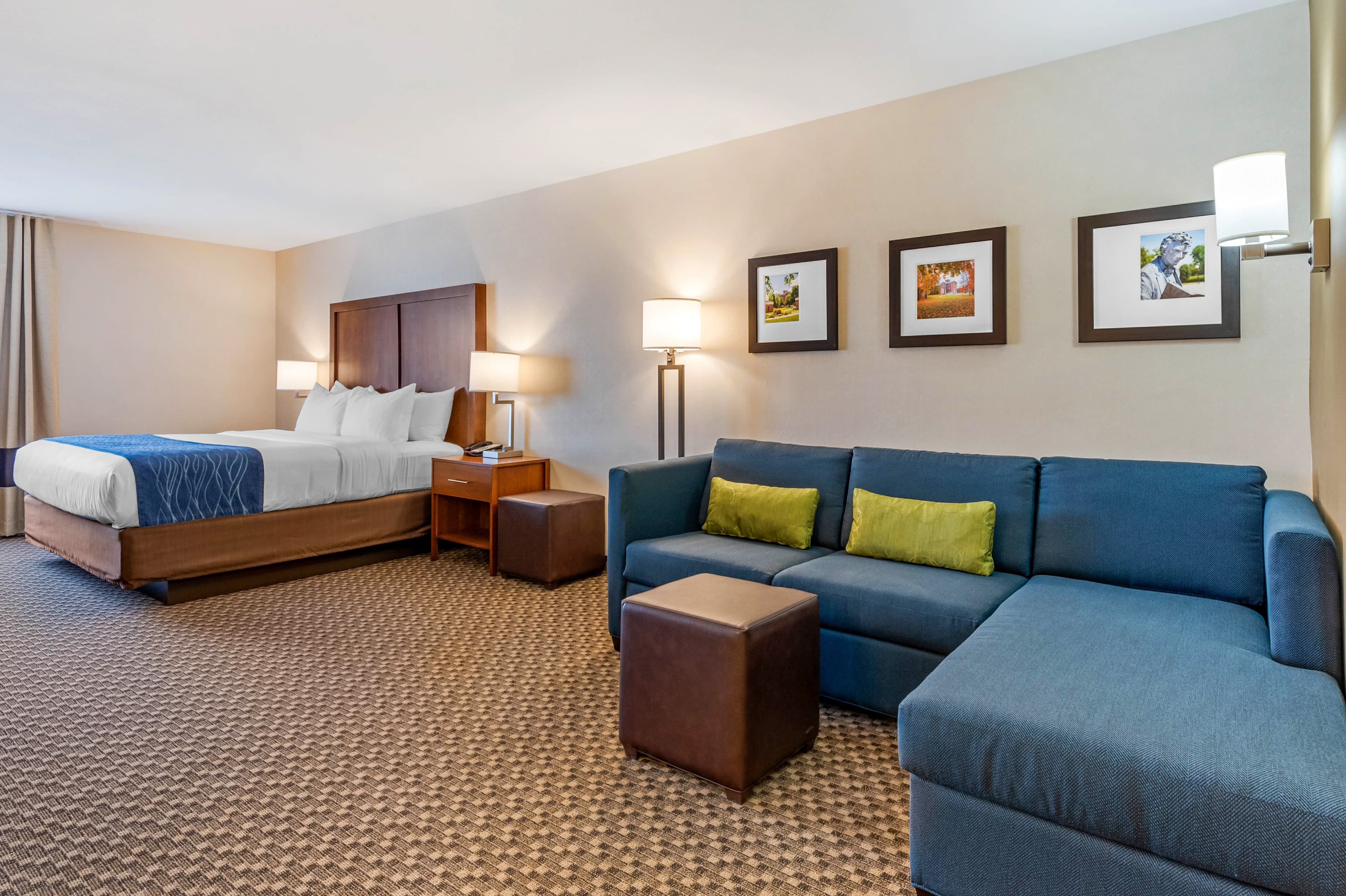 Comfort Inn & Suites near Route 66 — 32