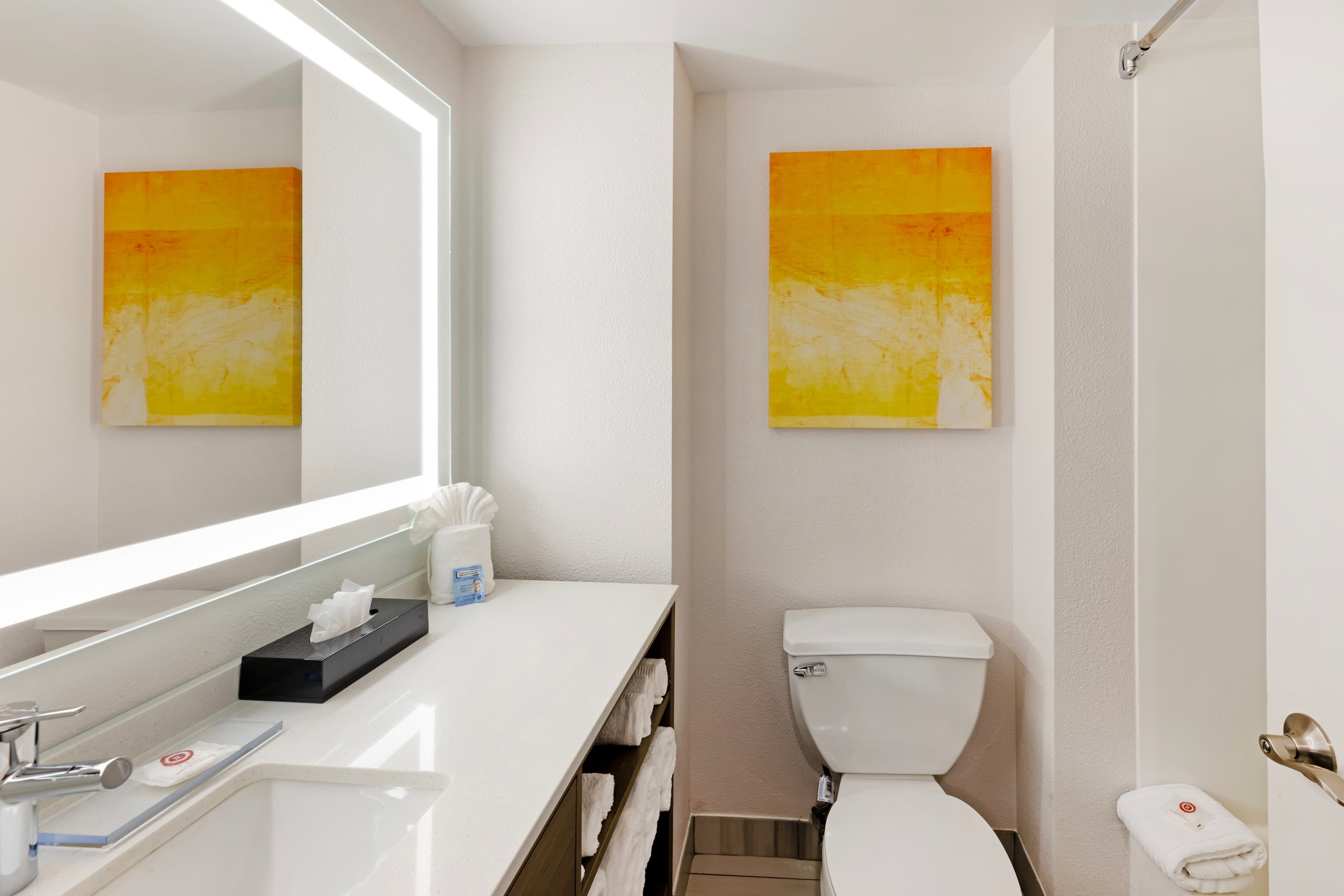 Comfort Inn & Suites Arlington Heights - Schaumburg — 9