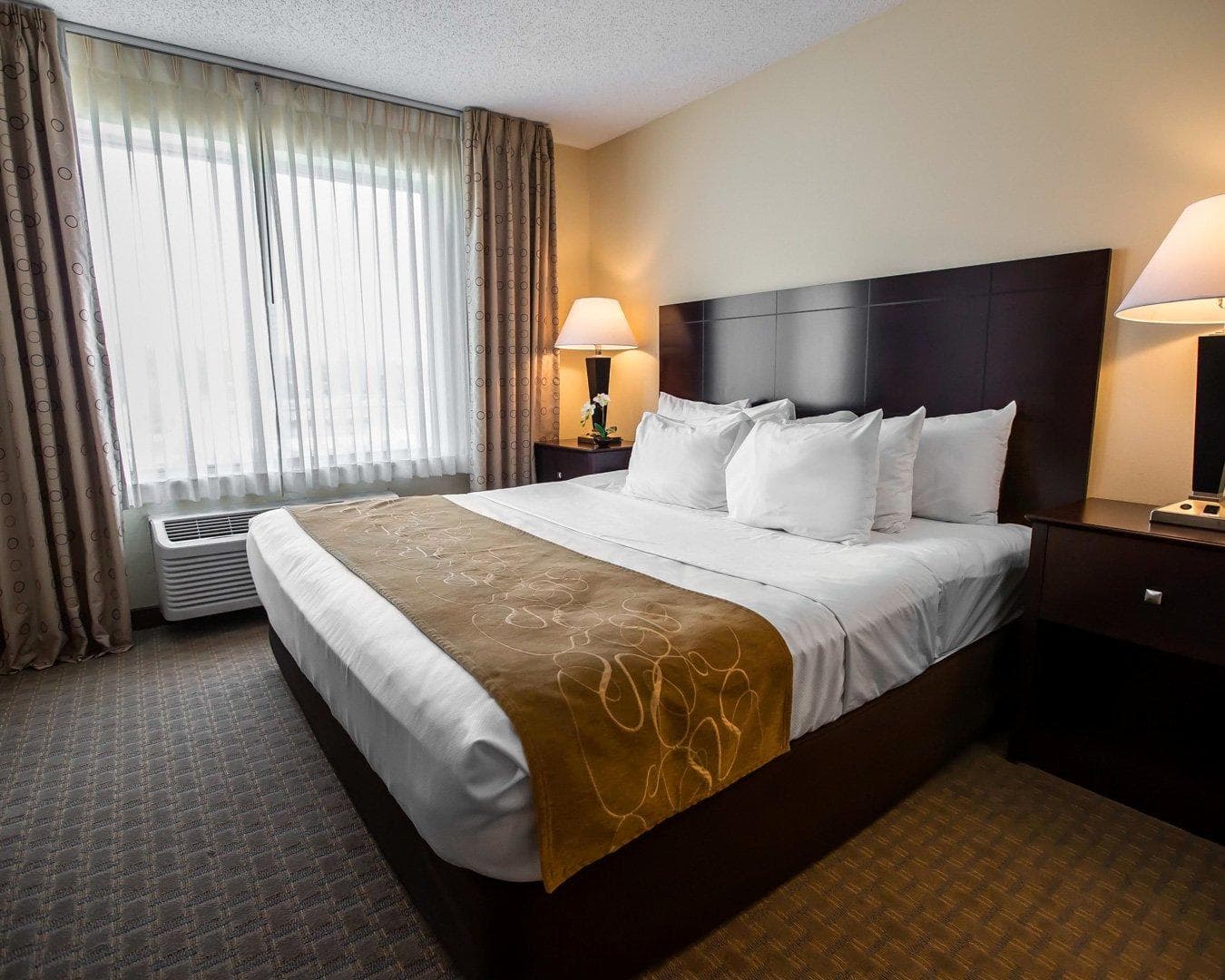 Comfort Suites University Area Notre Dame-South Bend — 14