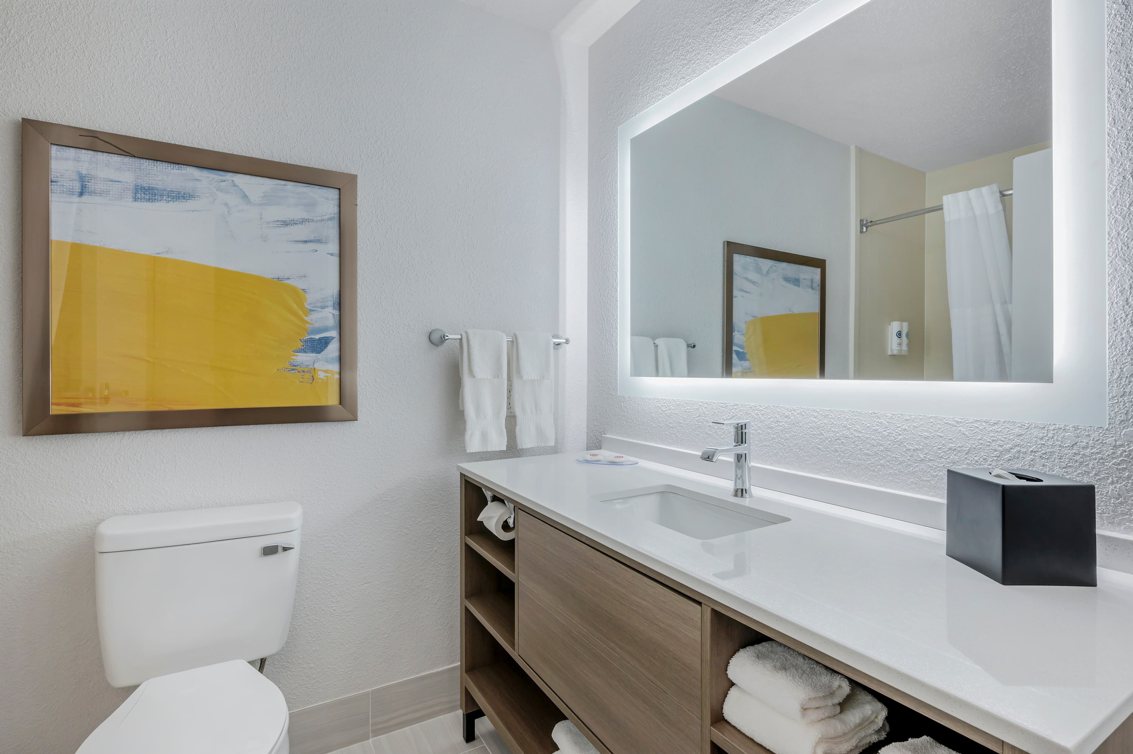 Comfort Suites West Indianapolis - Brownsburg — 10