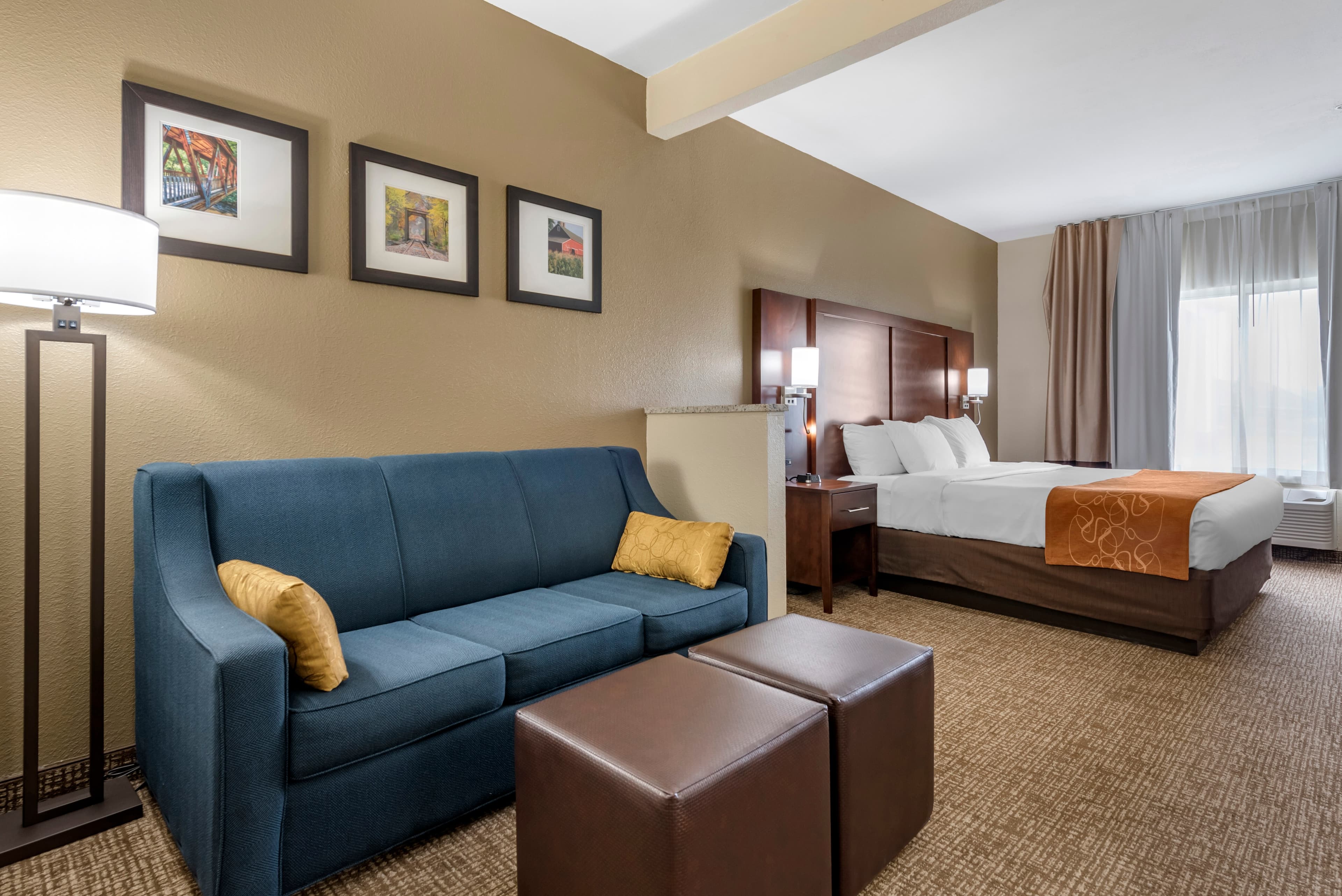 Comfort Suites Auburn near I-69 - Image 2