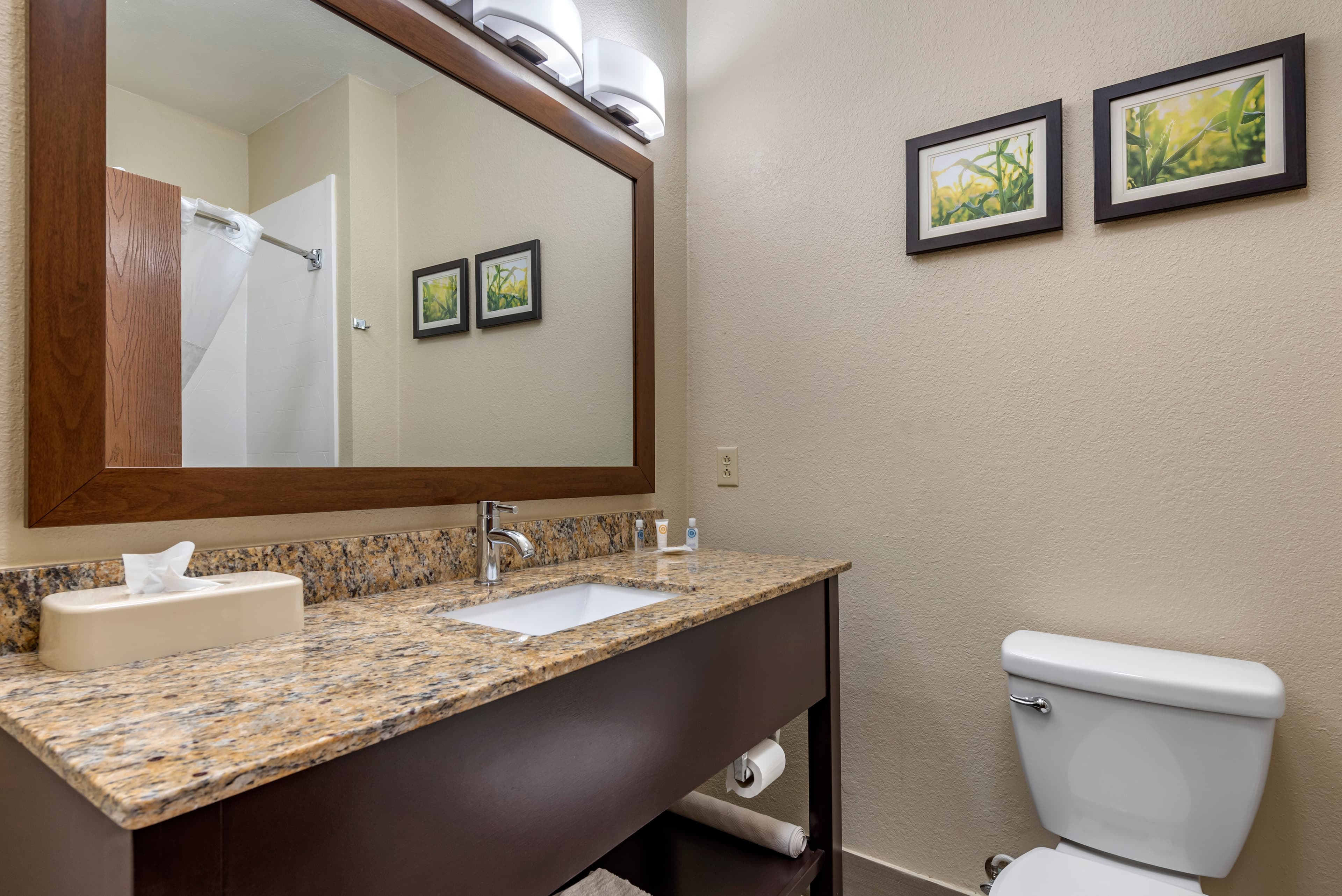Comfort Suites Auburn near I-69 — 12
