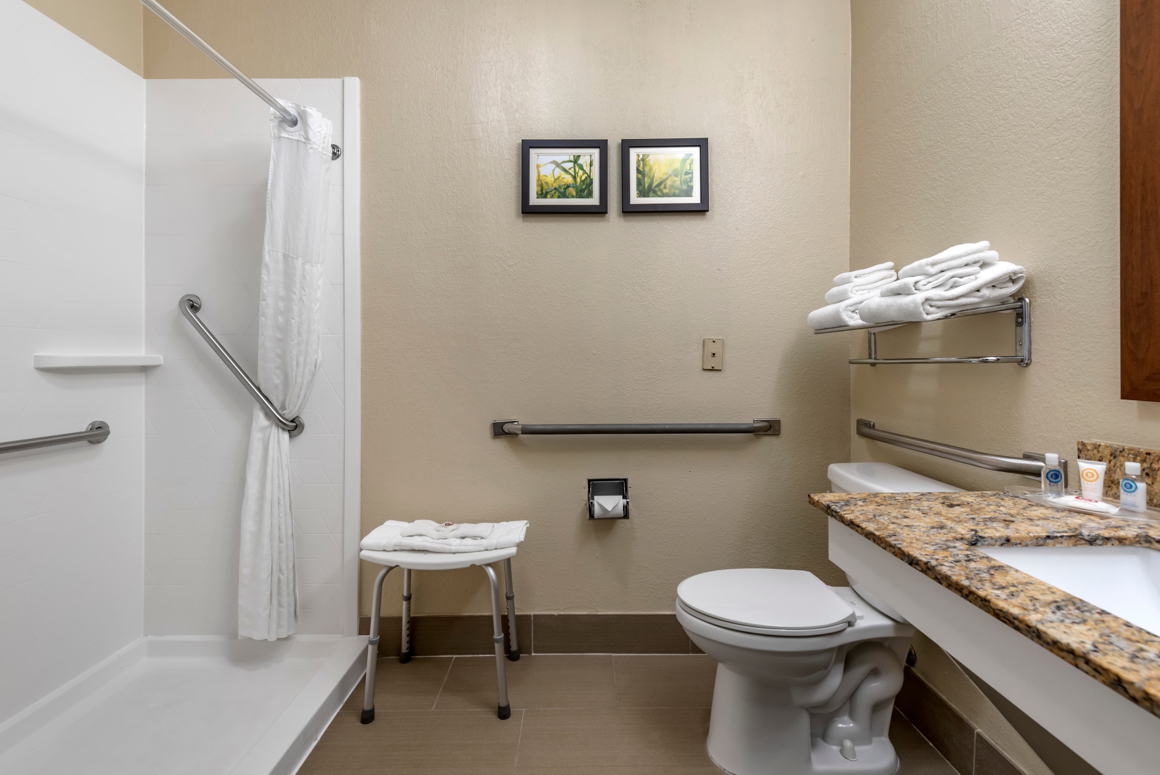 Comfort Suites Auburn near I-69 - Image 3