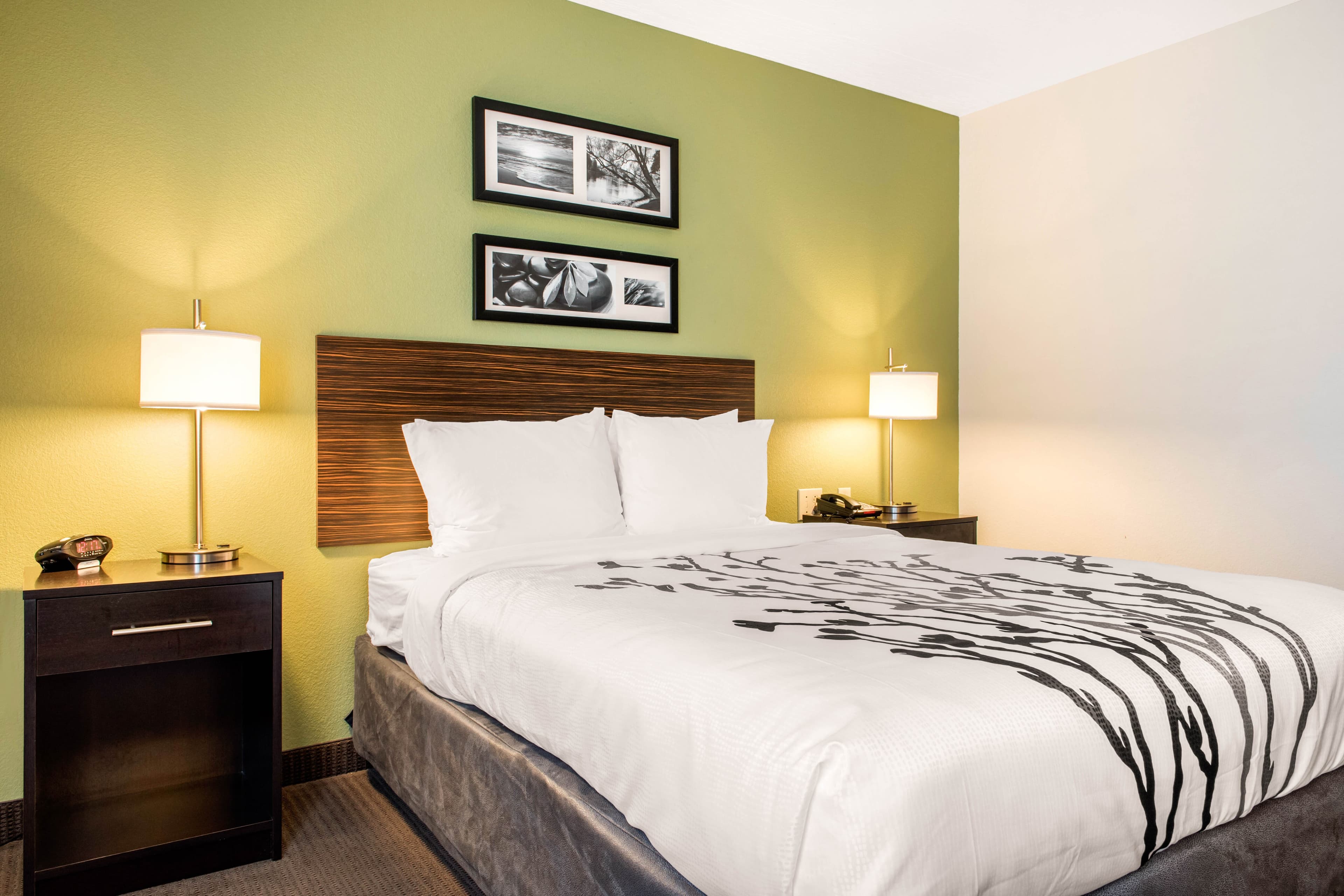 Sleep Inn & Suites Columbus South - Image 3