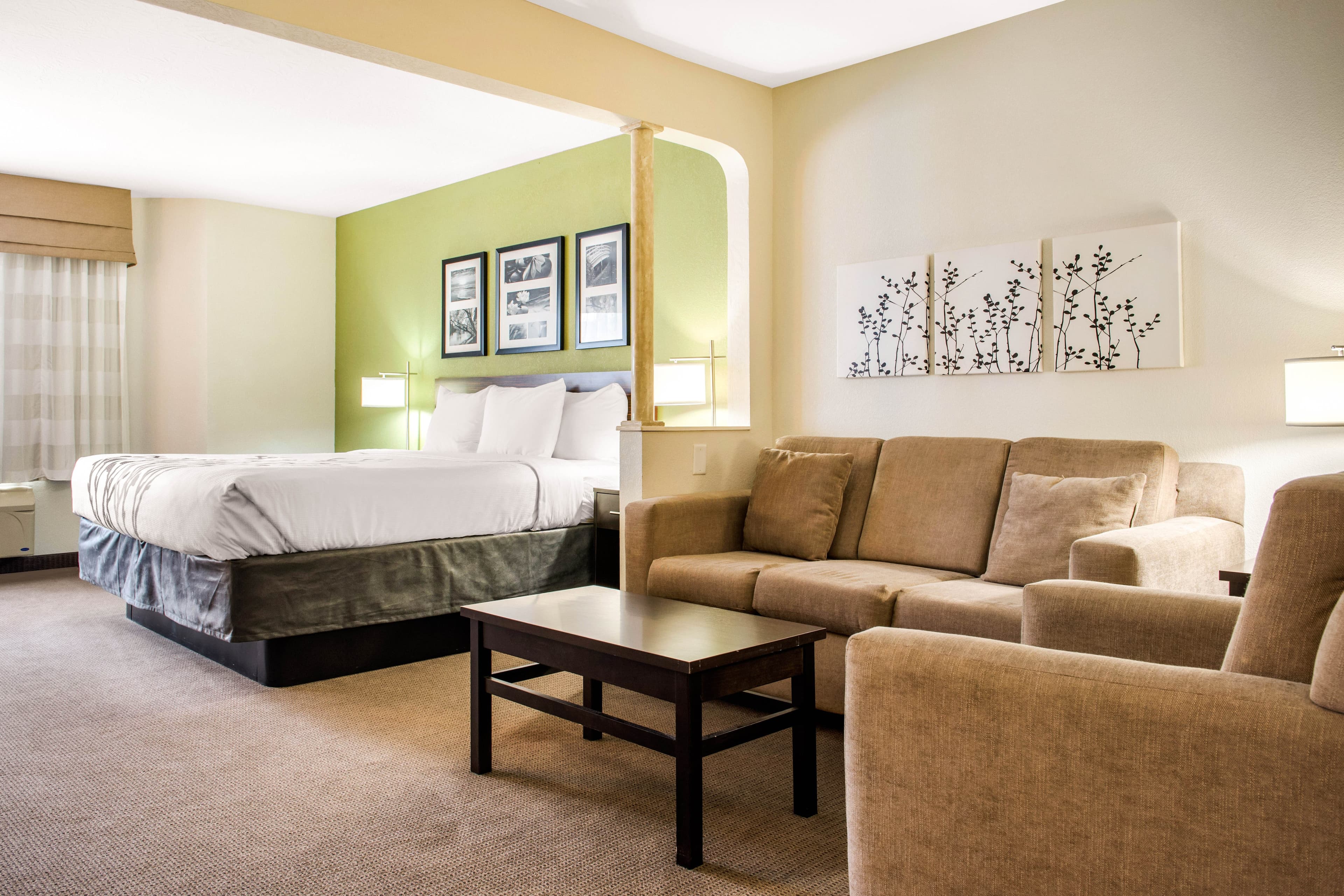 Sleep Inn & Suites Columbus South — 35