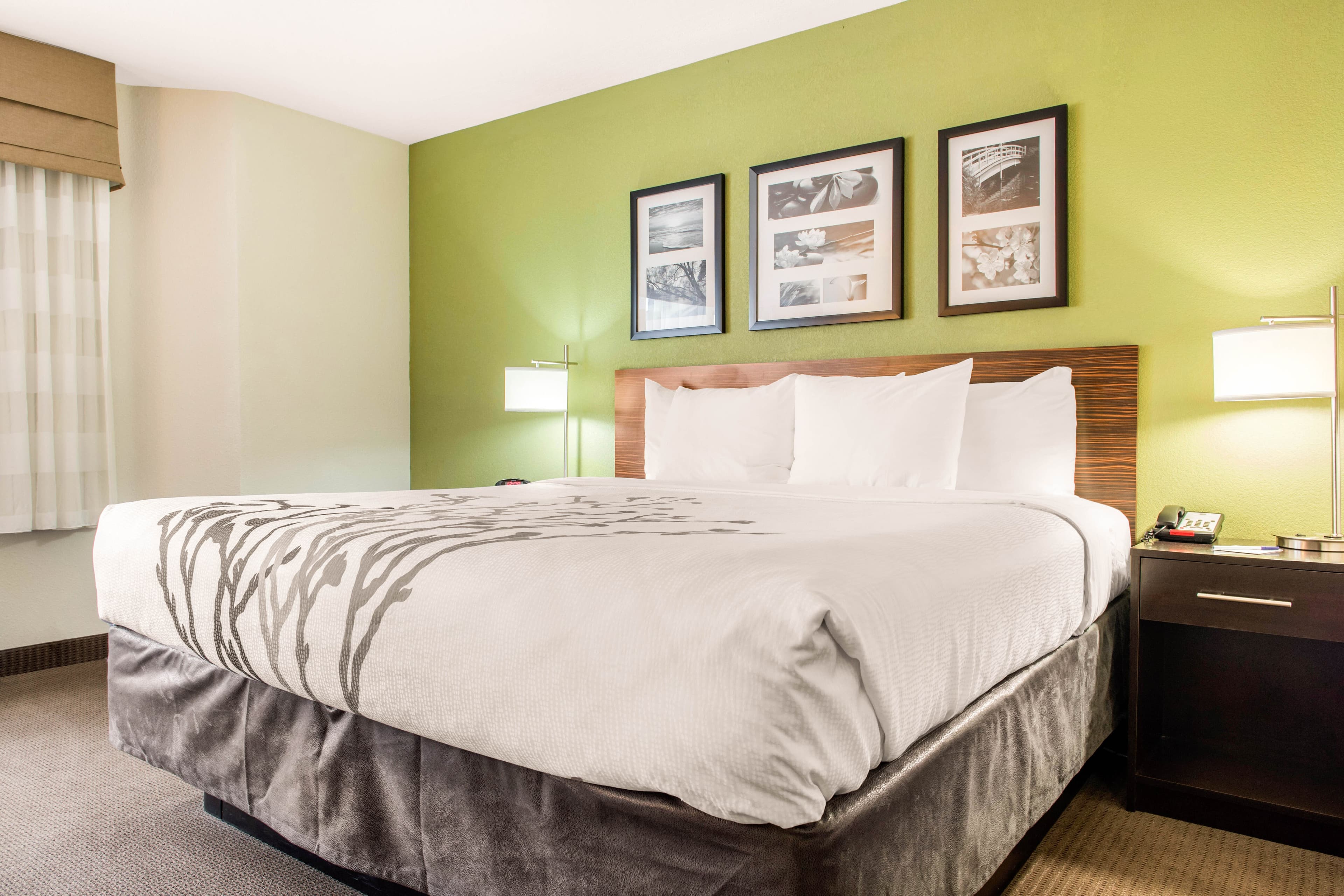 Sleep Inn & Suites Columbus South — 37