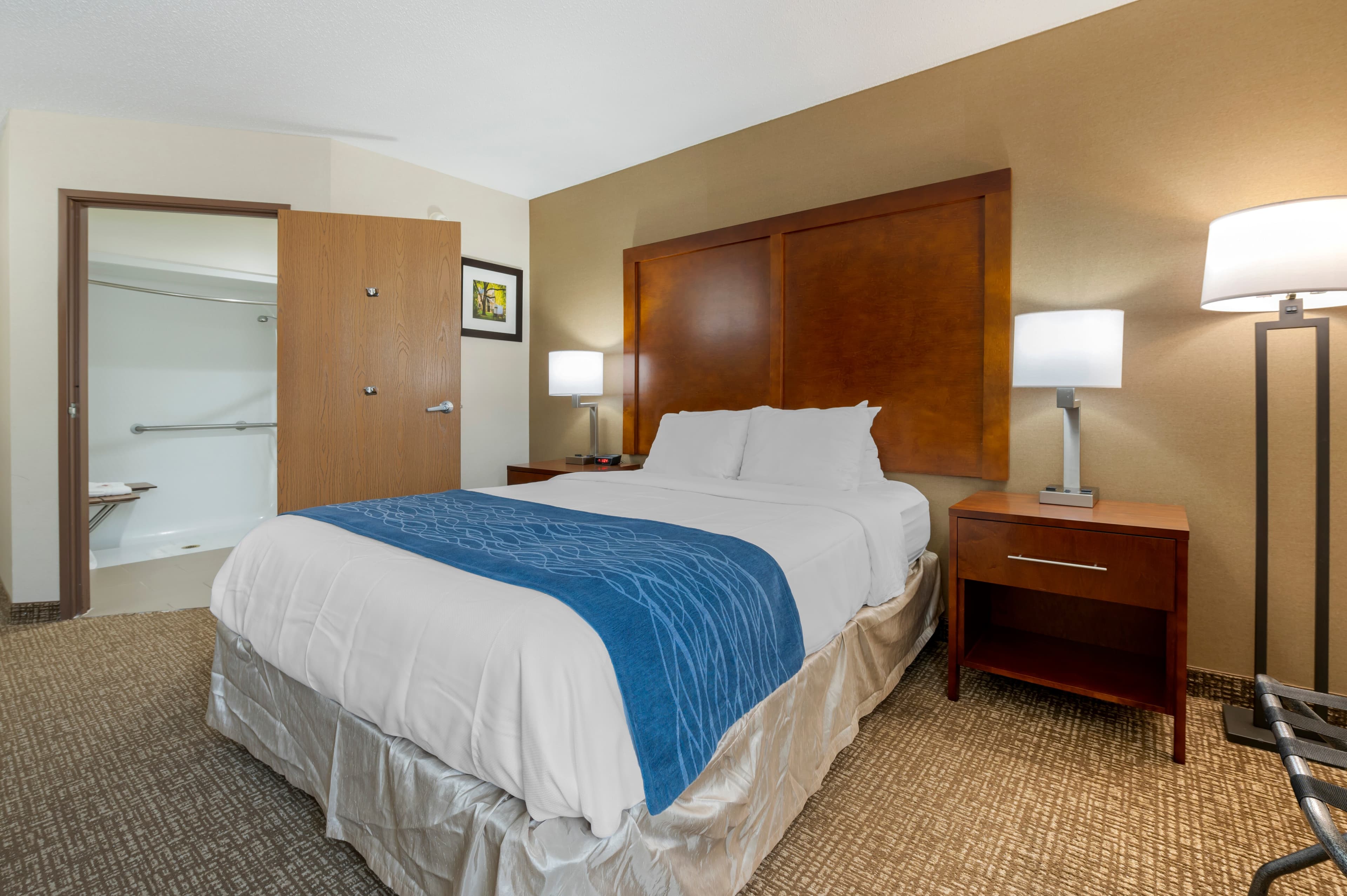 Comfort Inn Anderson South — 17
