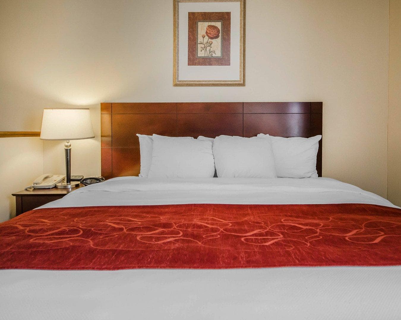 Quality Suites Jeffersonville - Louisville North - Image 2