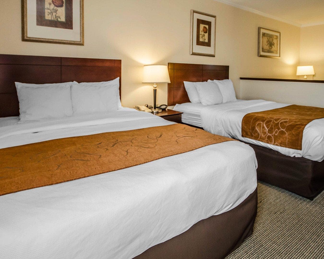 Quality Suites Jeffersonville - Louisville North — 14