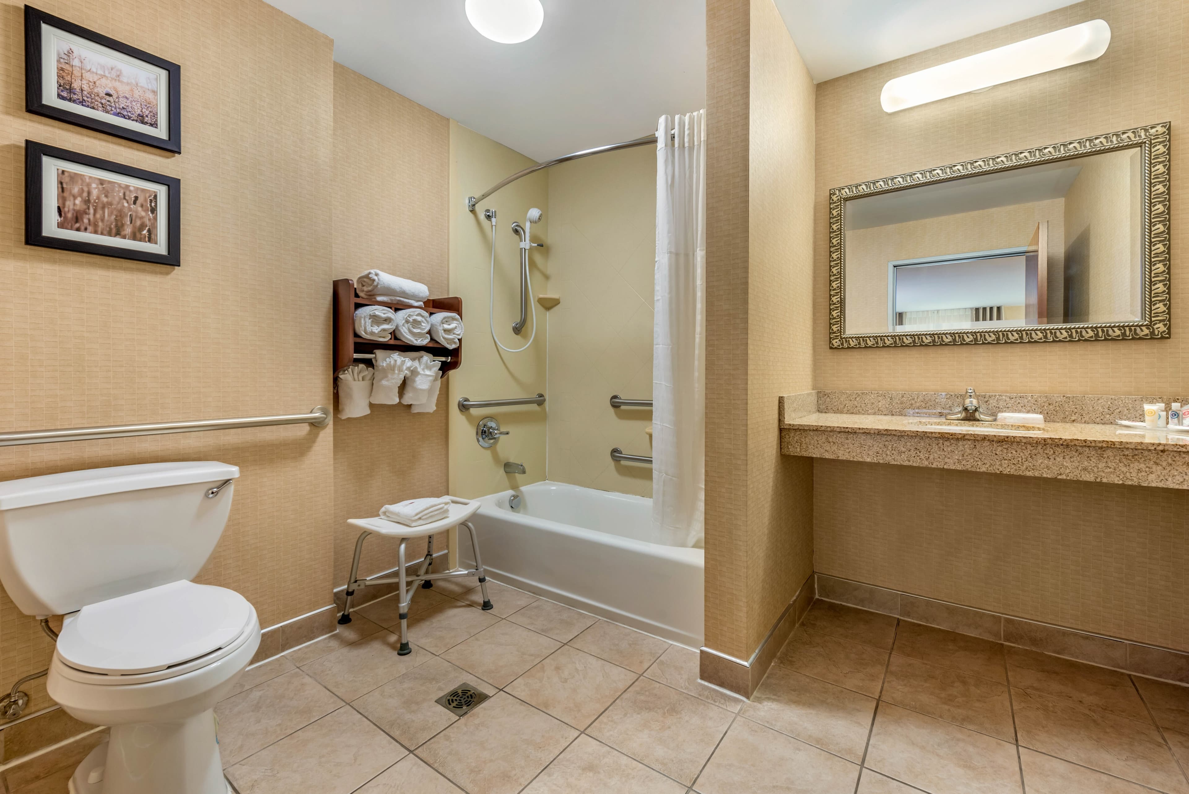 Comfort Suites Elkhart South — 10
