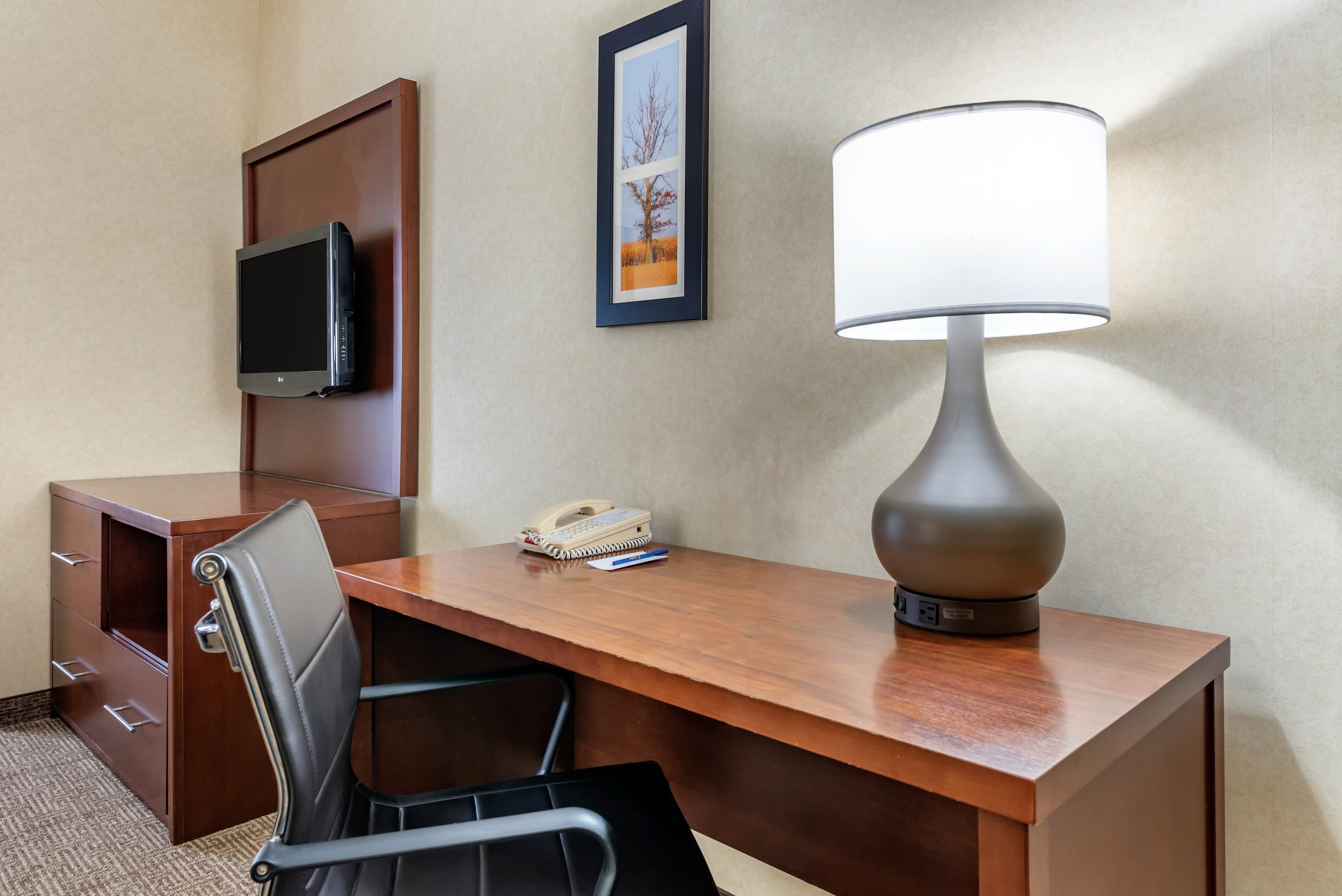 Comfort Suites Elkhart South — 18