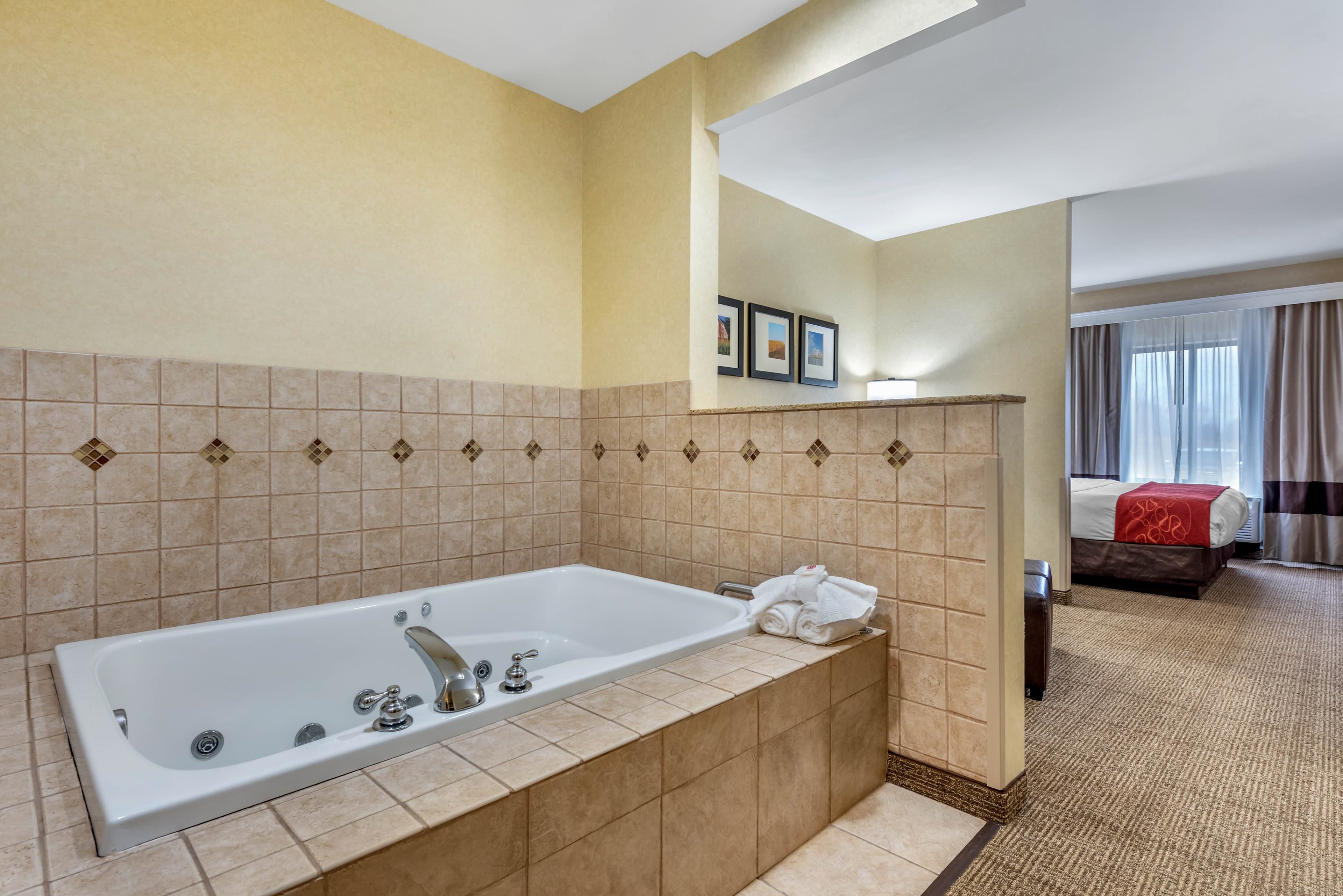 Comfort Suites Elkhart South — 19