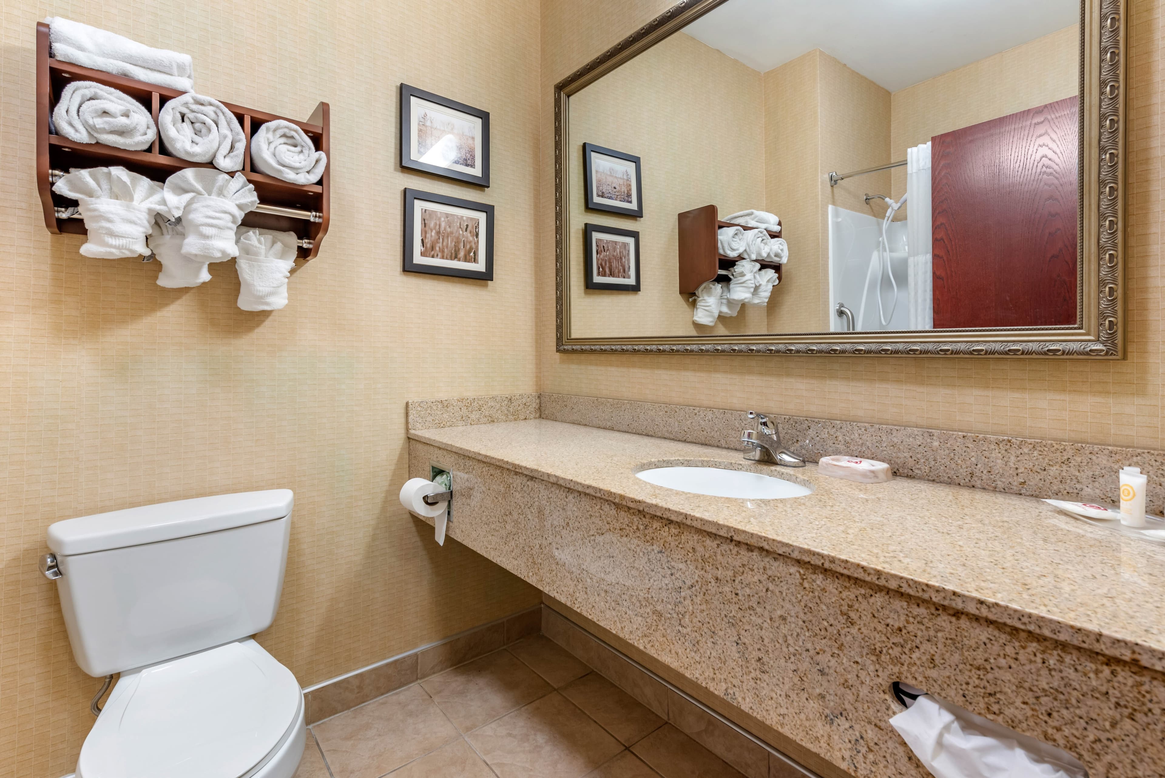 Comfort Suites Elkhart South — 20