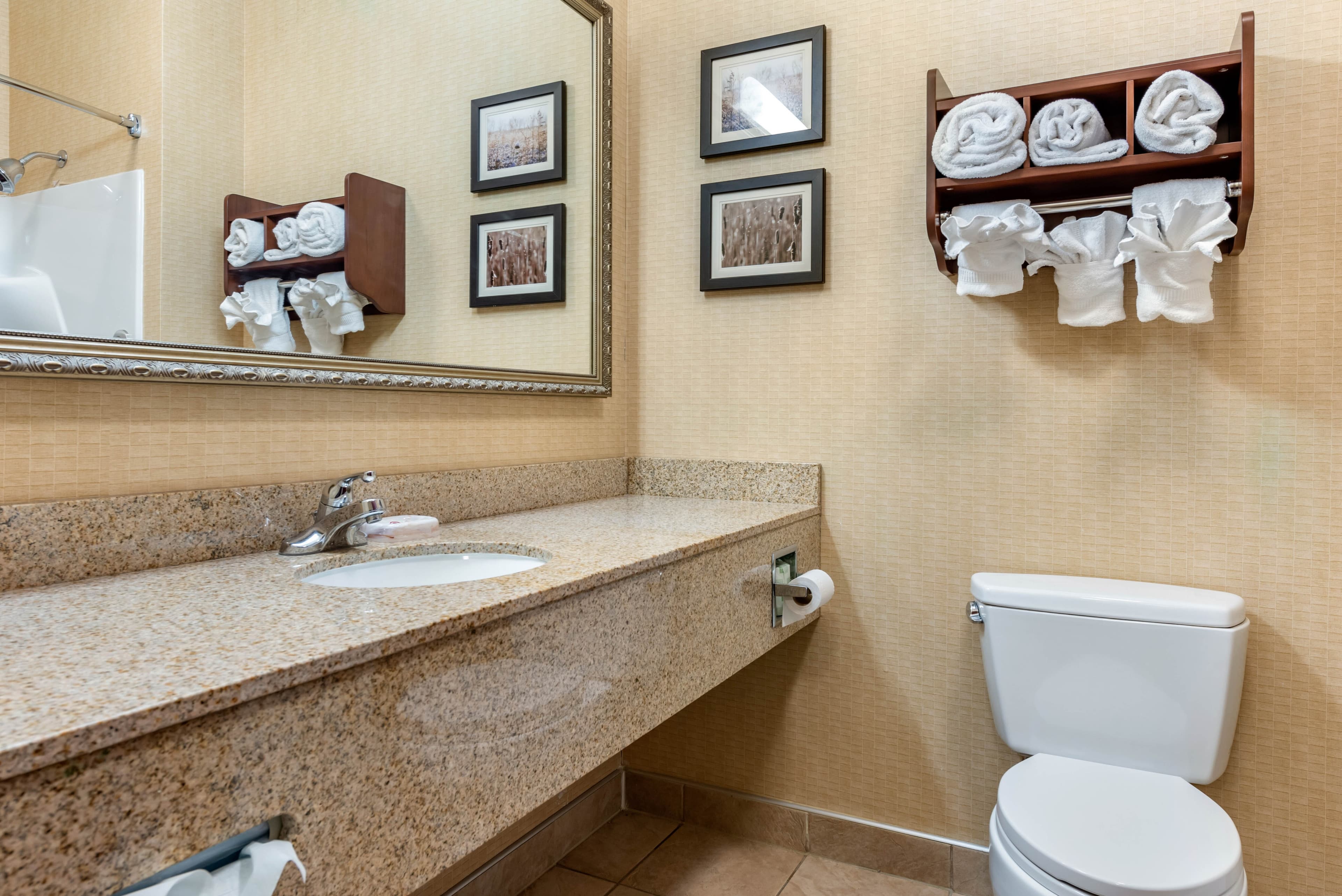 Comfort Suites Elkhart South — 15