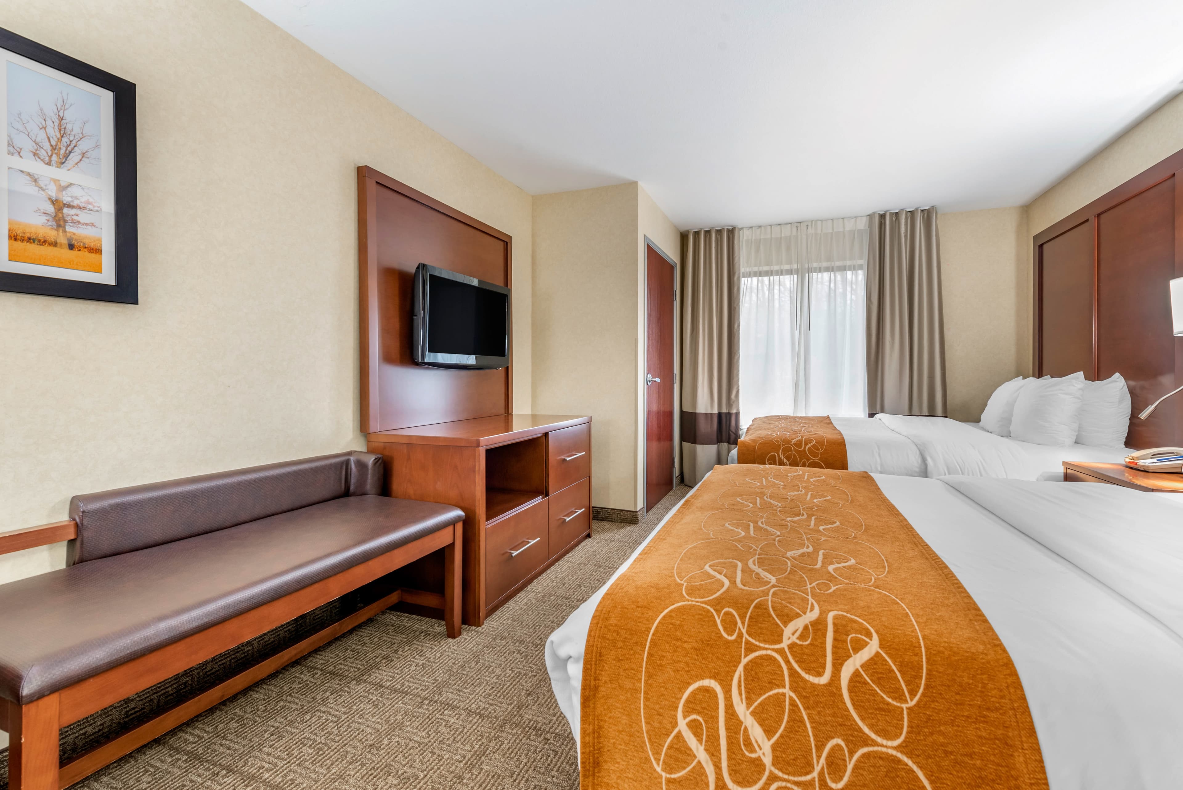 Comfort Suites Elkhart South — 24