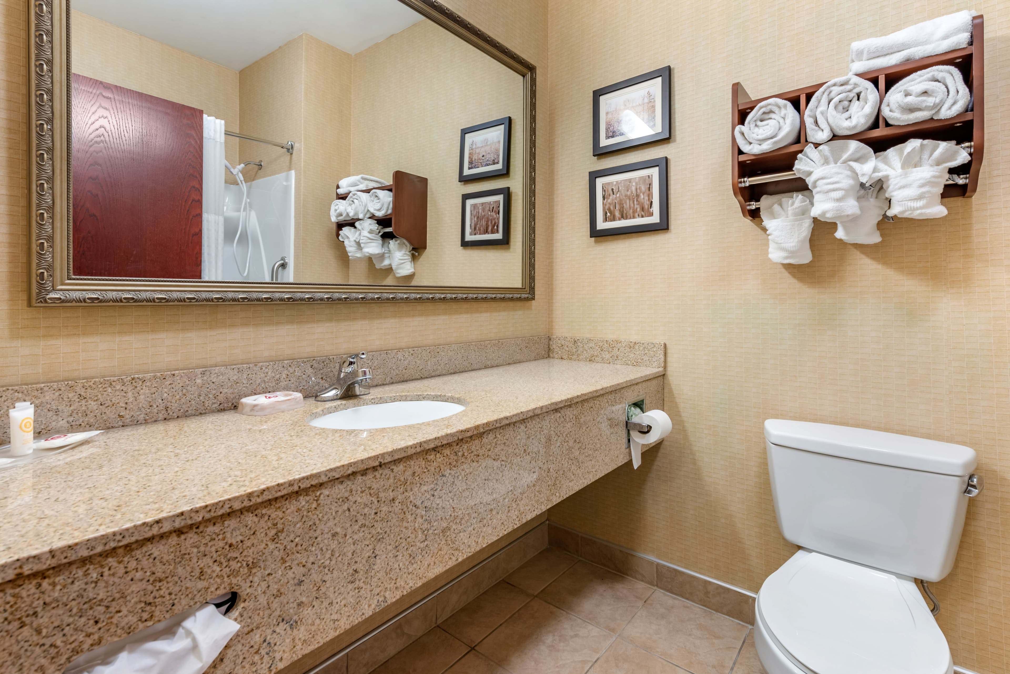 Comfort Suites Elkhart South — 25