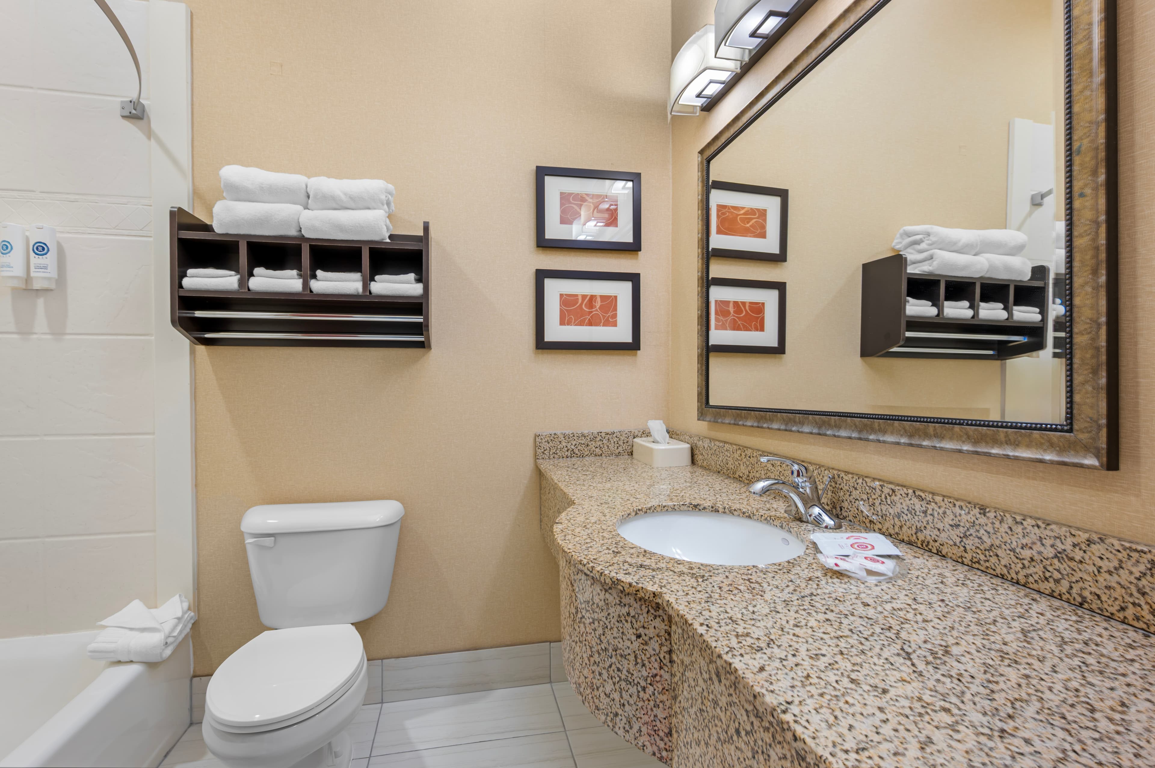 Comfort Suites South Bend Near Casino — 21