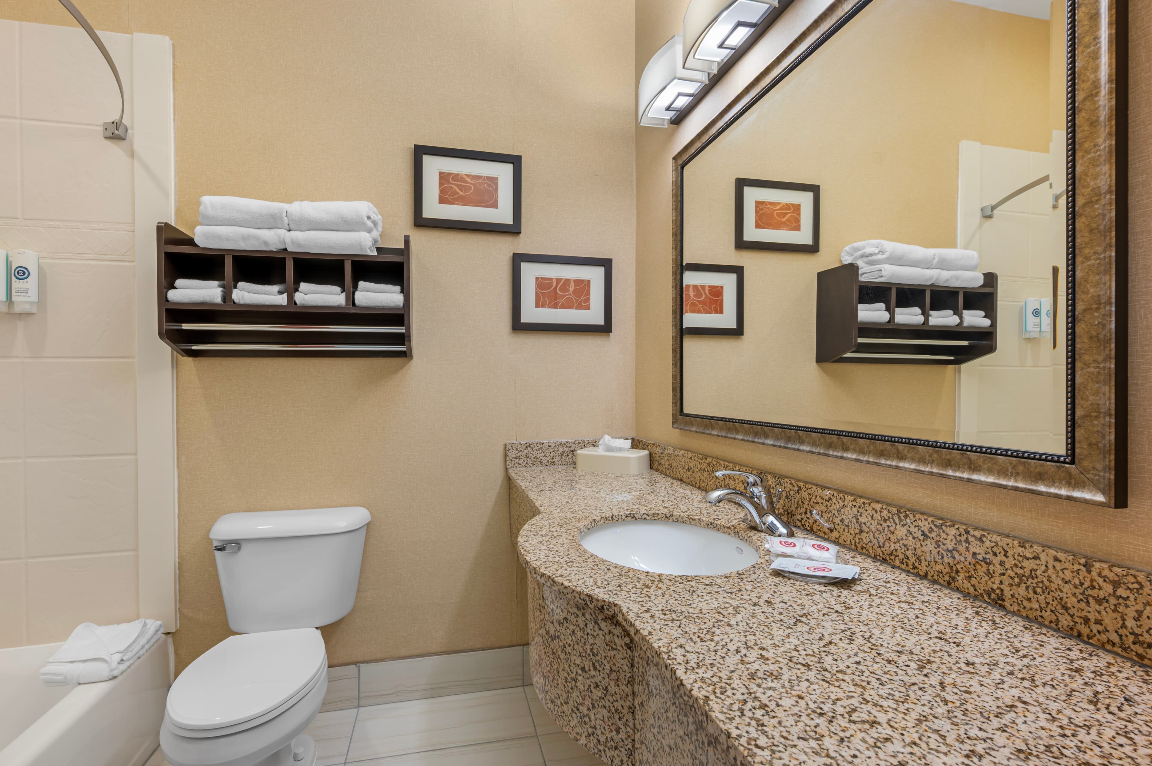 Comfort Suites South Bend Near Casino — 25