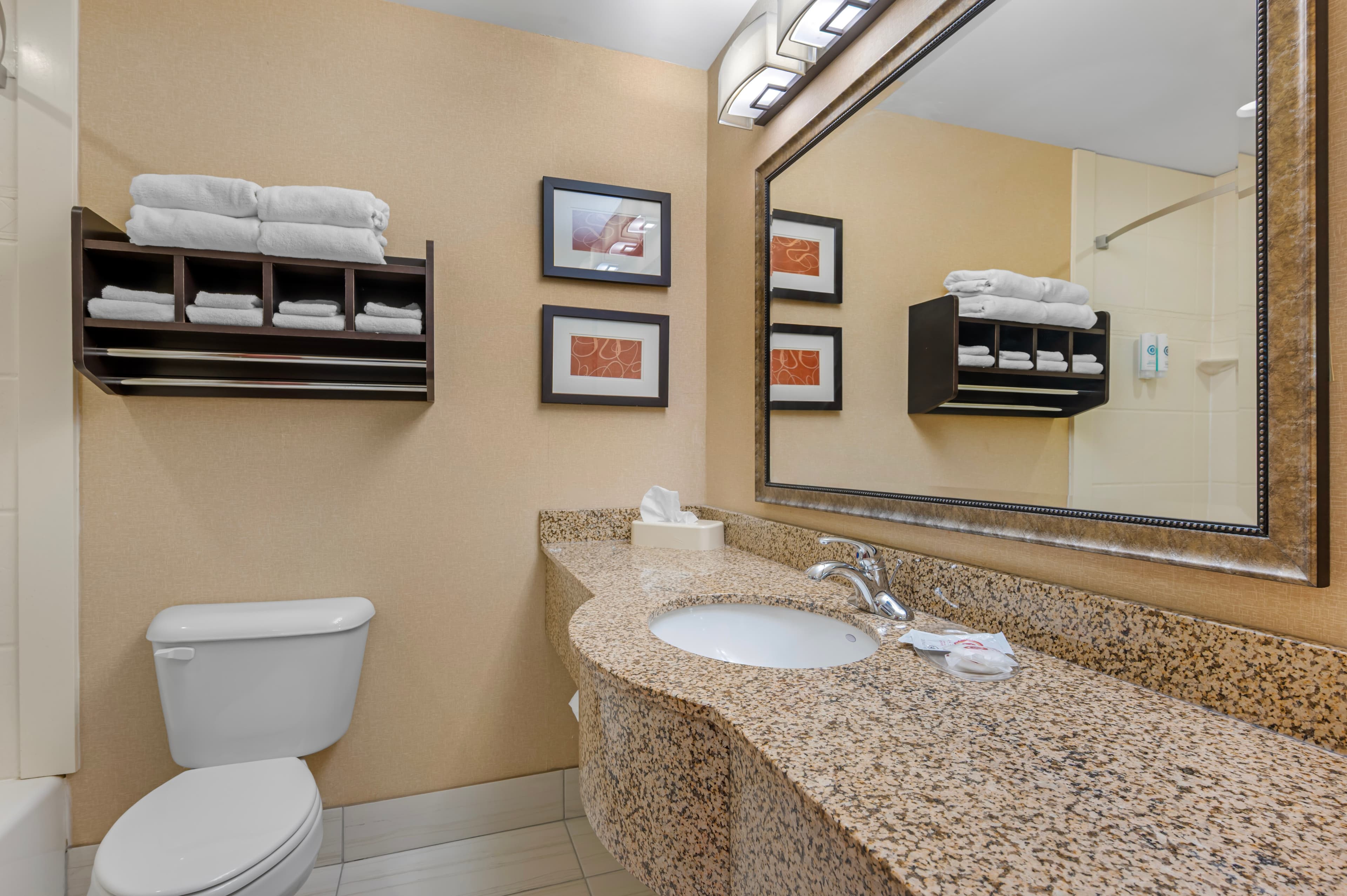 Comfort Suites South Bend Near Casino — 31