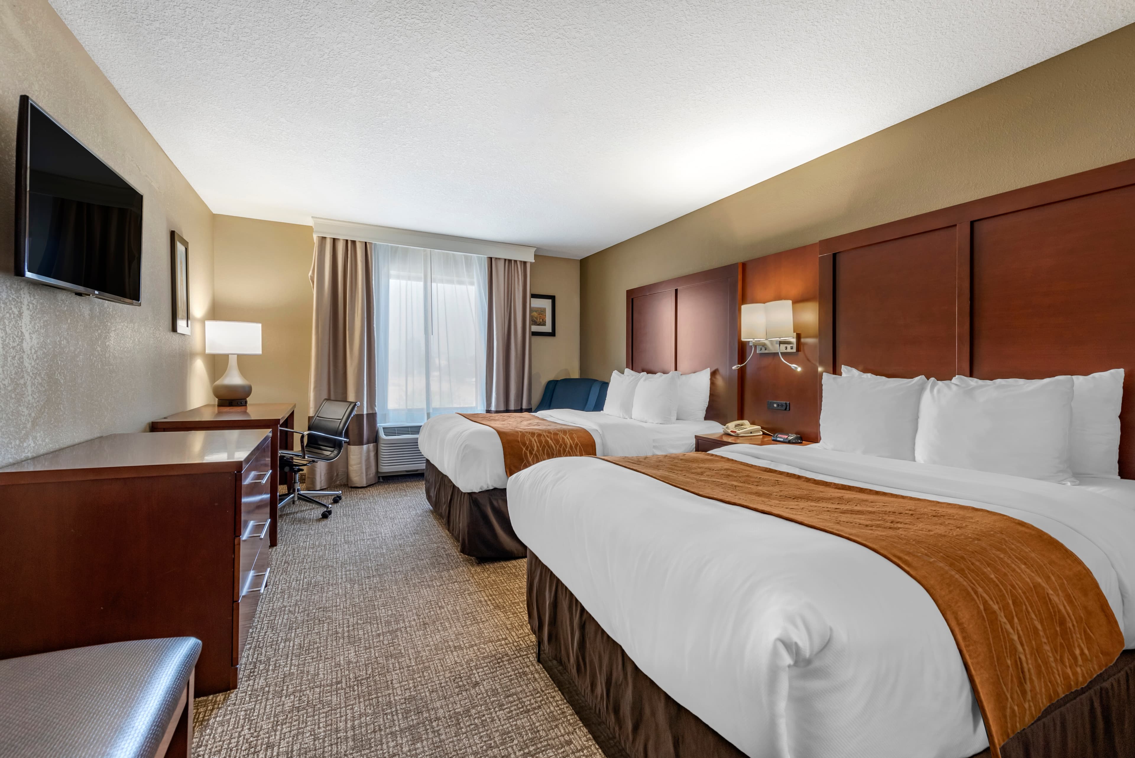 Comfort Inn & Suites Muncie Near University - Image 2