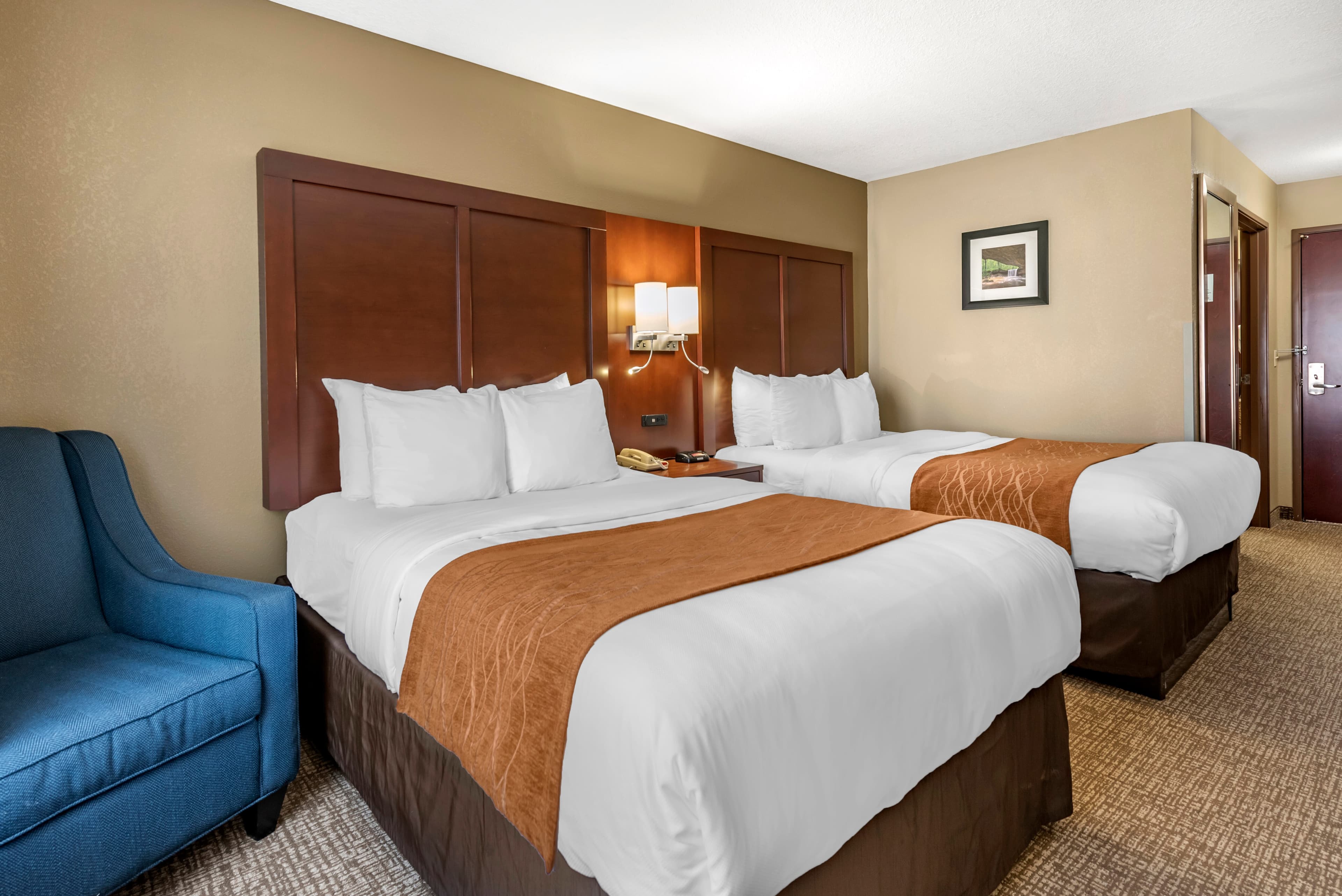 Comfort Inn & Suites Muncie Near University - Image 4