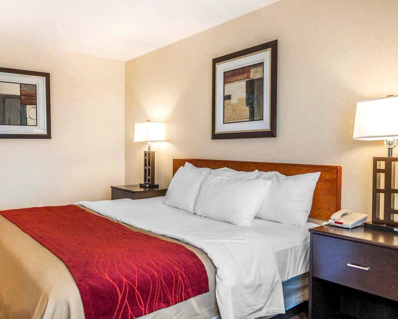 Comfort Inn Avon-Indianapolis West - Image 1