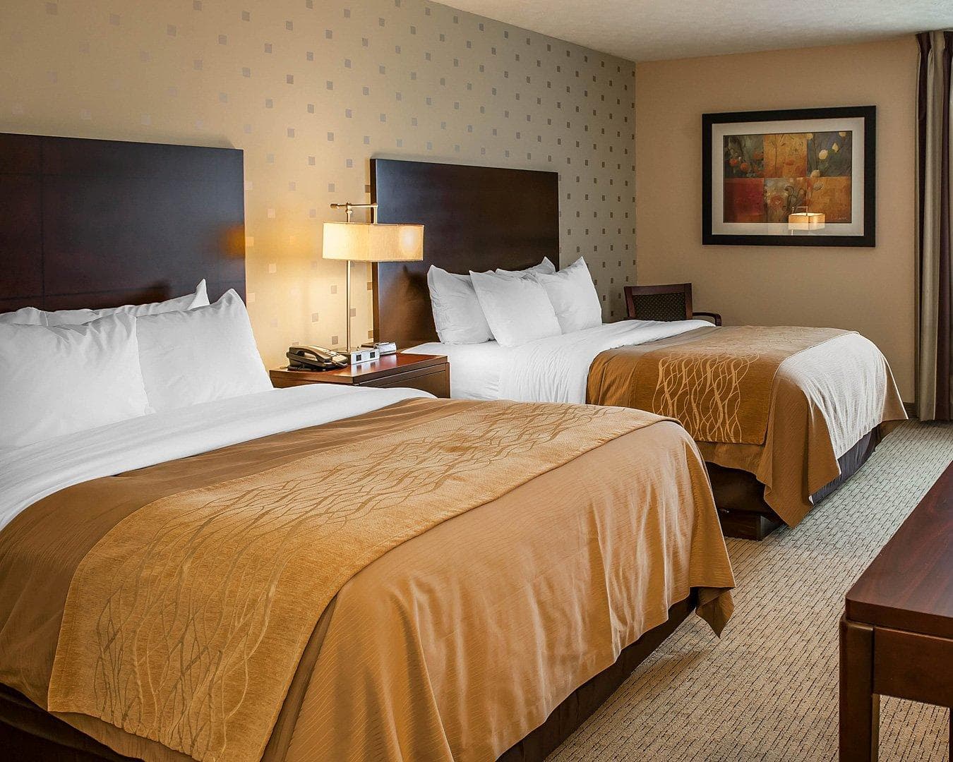 Comfort Inn Bloomington near University — 25