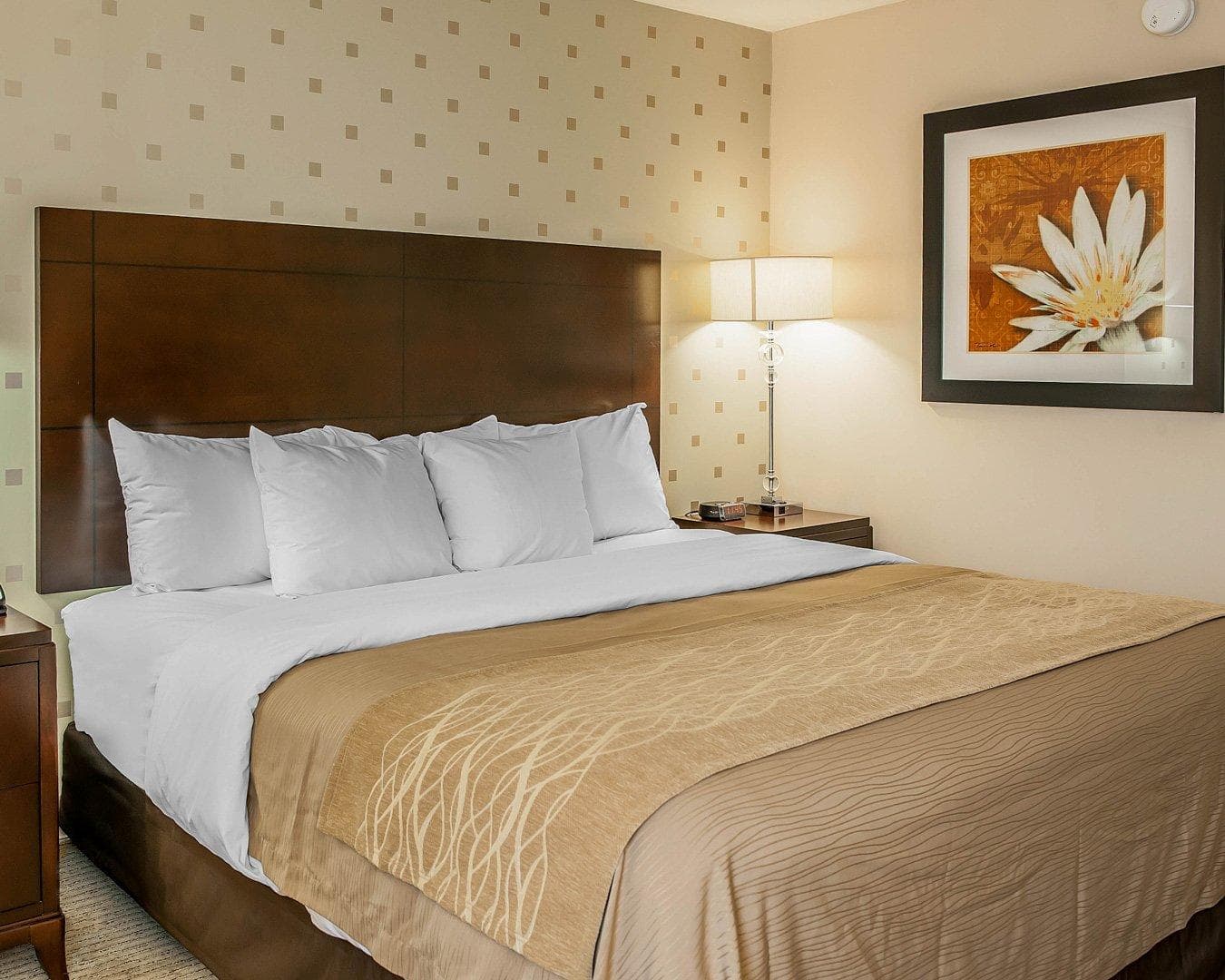 Comfort Inn Bloomington near University - Image 3