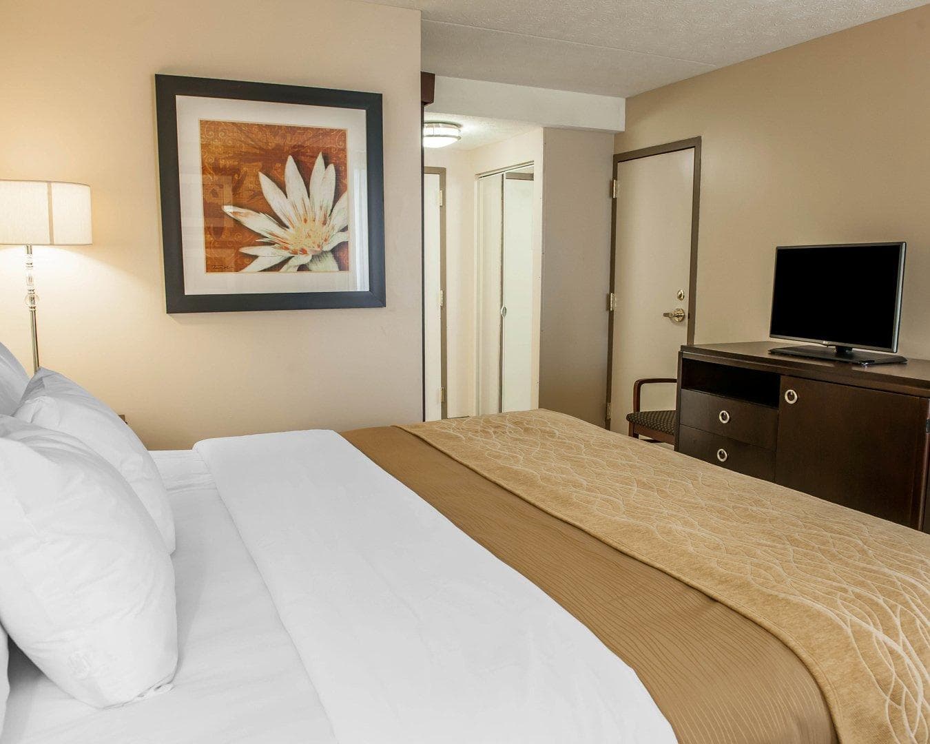 Comfort Inn Bloomington near University - Image 5