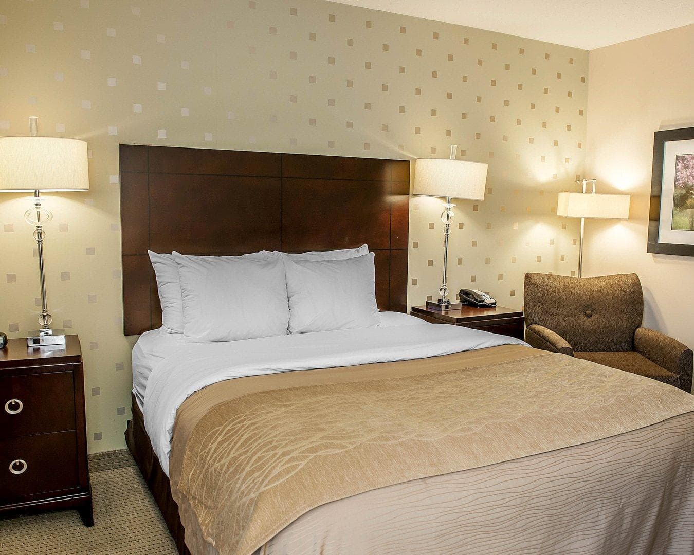 Comfort Inn Bloomington near University — 14