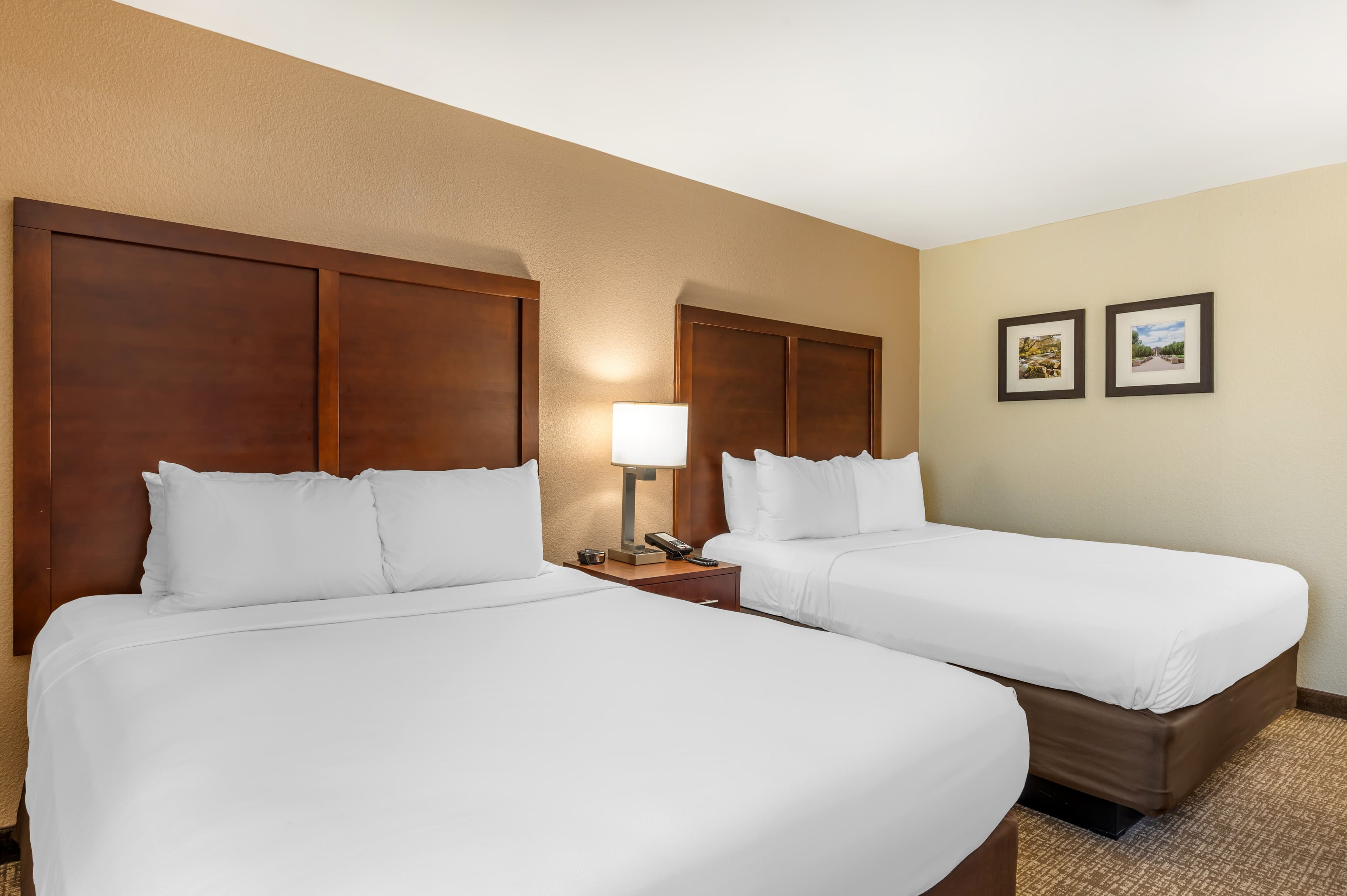 Comfort Inn Lafayette I-65 — 17