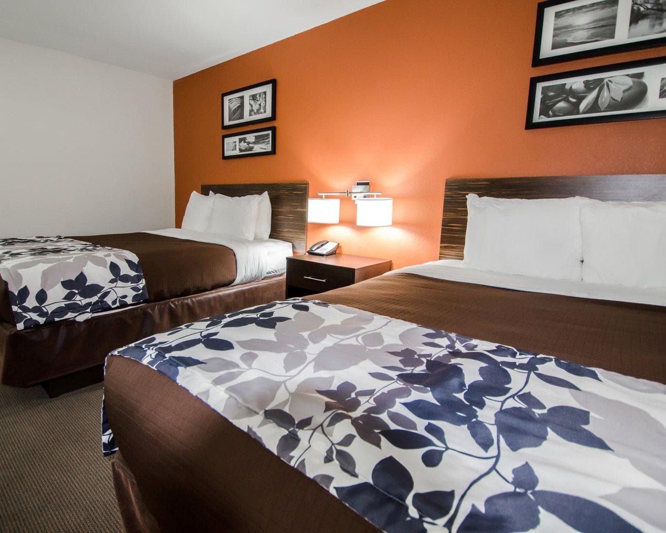 Sleep Inn & Suites And Conference Center Downtown — 10
