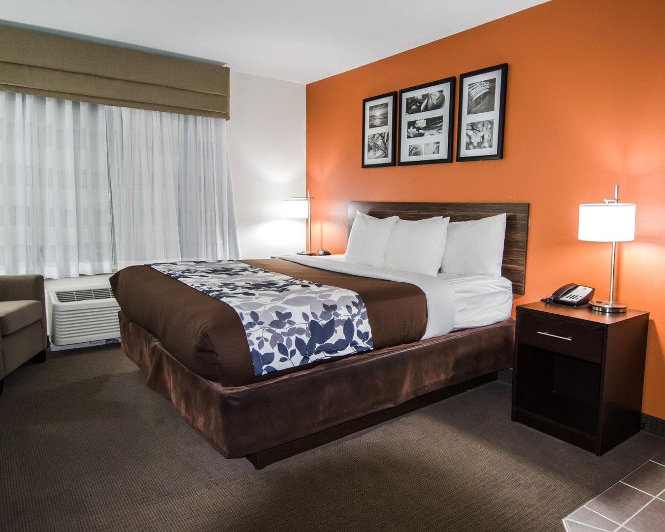 Sleep Inn & Suites And Conference Center Downtown - Image 3