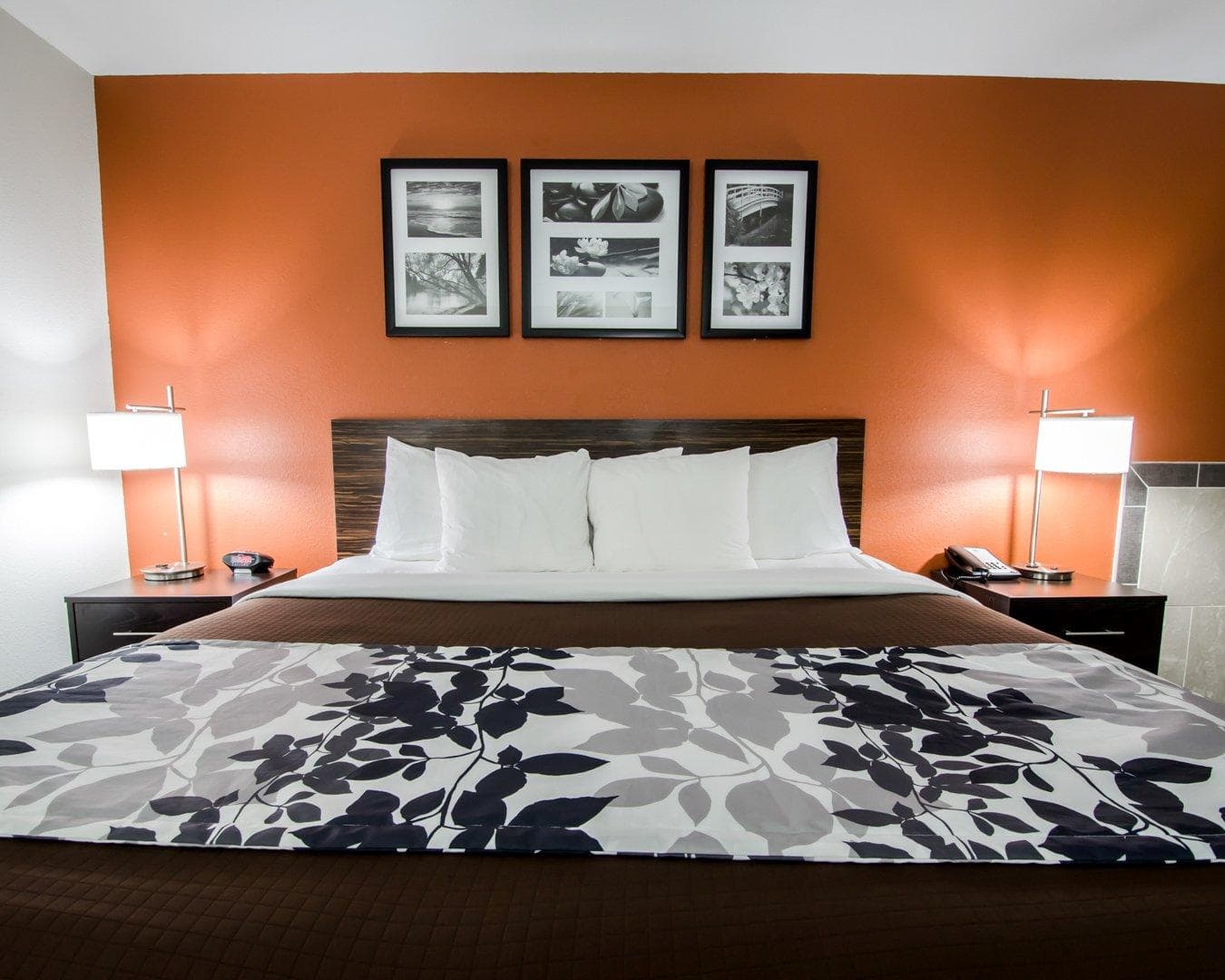 Sleep Inn & Suites And Conference Center Downtown - Image 5