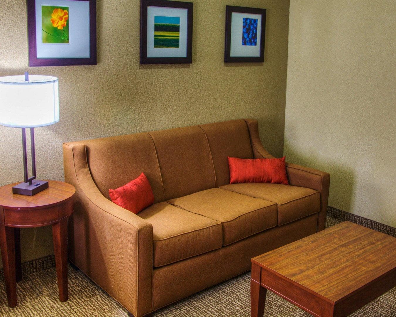 Comfort Suites Plymouth near US-30 — 7