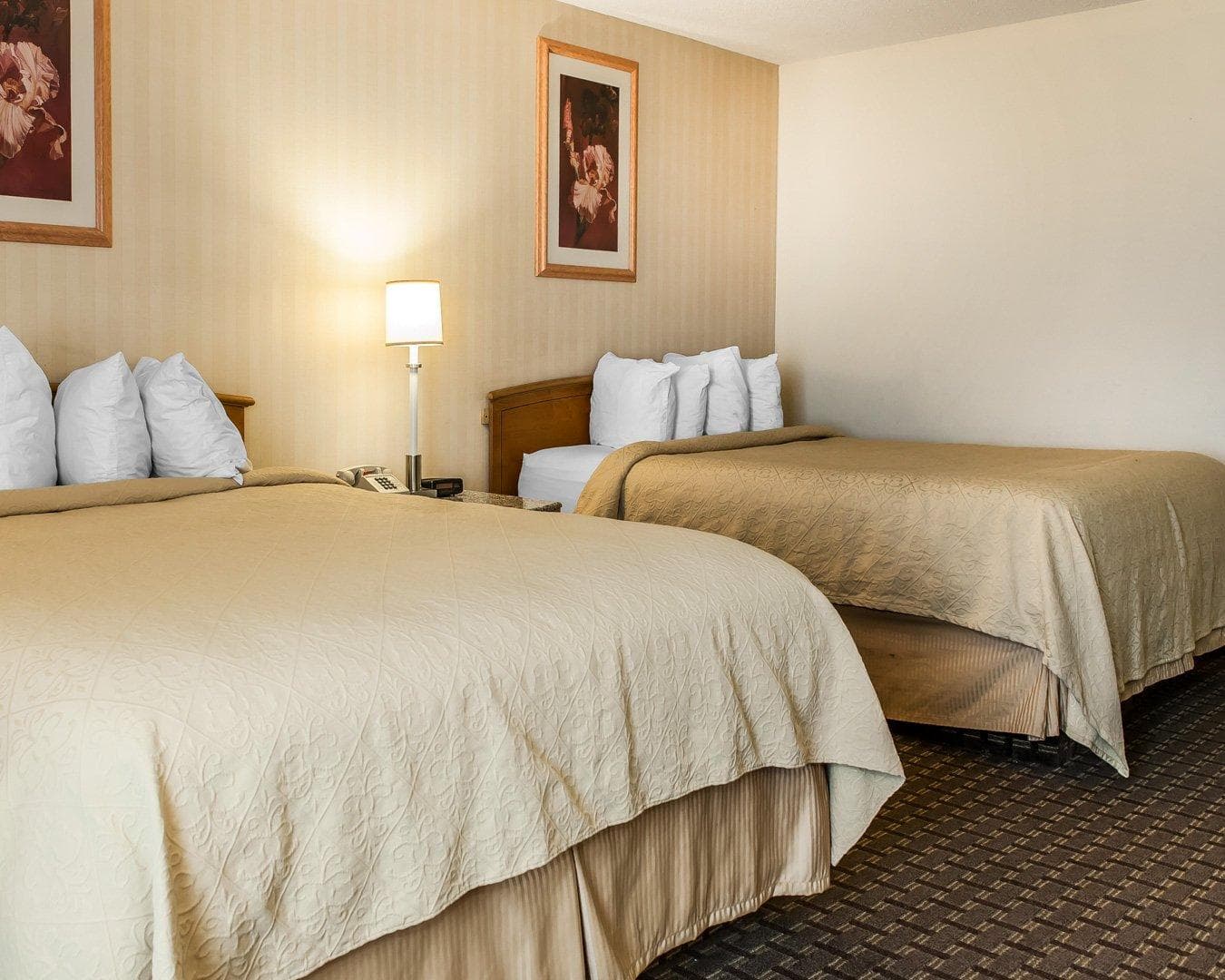 Quality Inn & Suites Shelbyville I-74 — 10