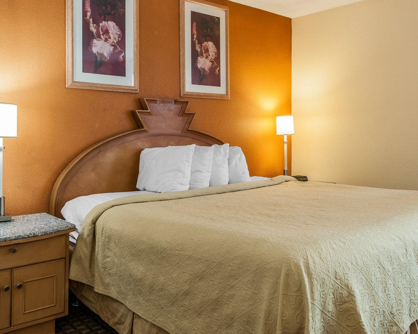 Quality Inn & Suites Shelbyville I-74 — 14