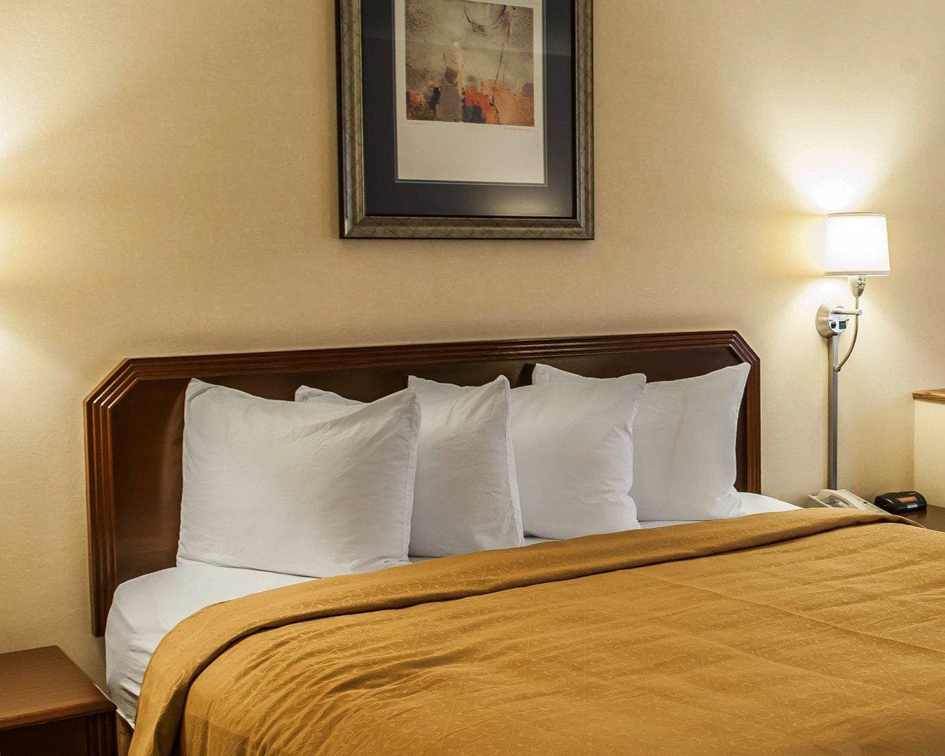 Quality Inn & Suites Goshen - Image 3