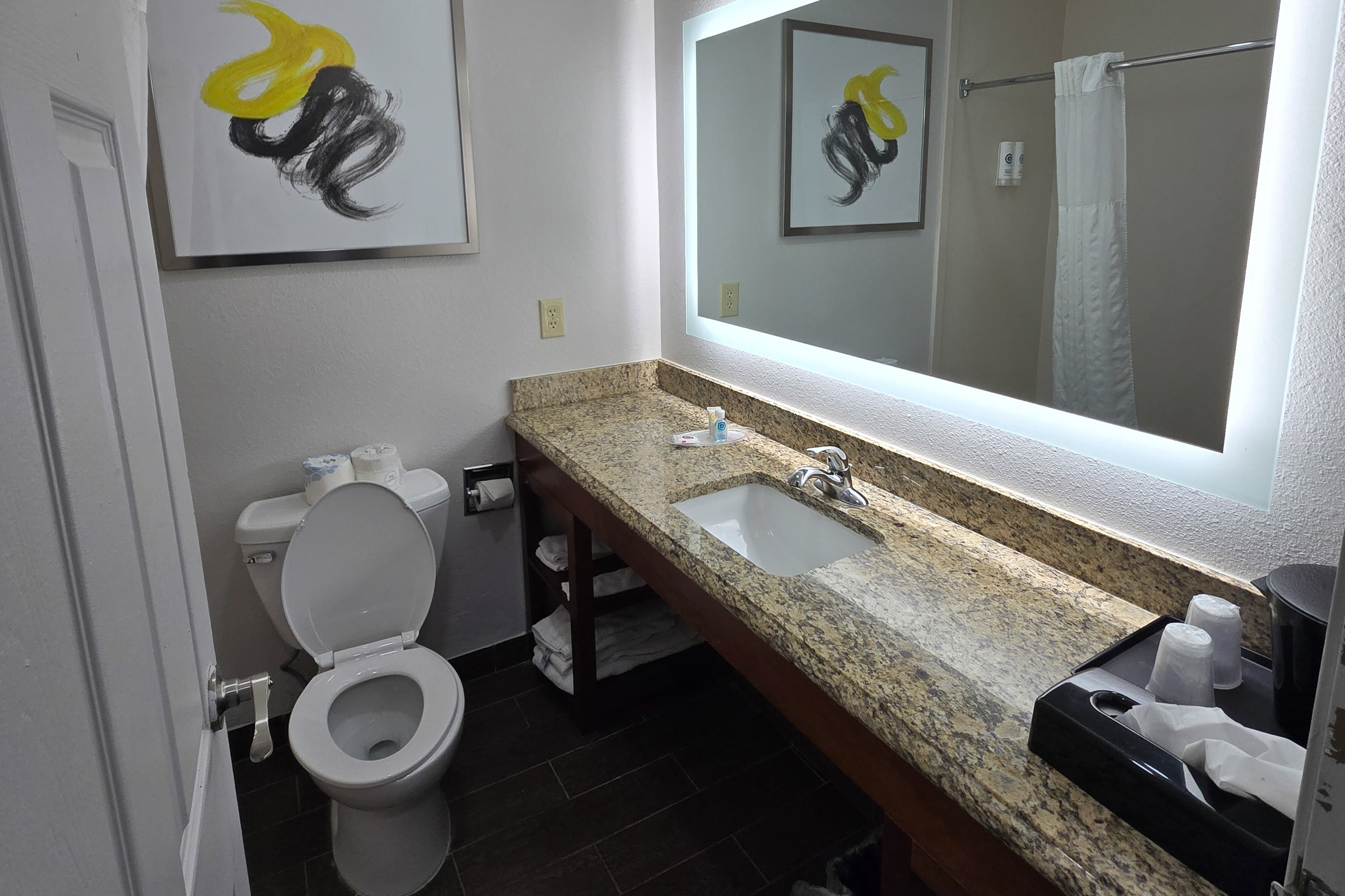 Comfort Suites Terre Haute University Area - Image 4