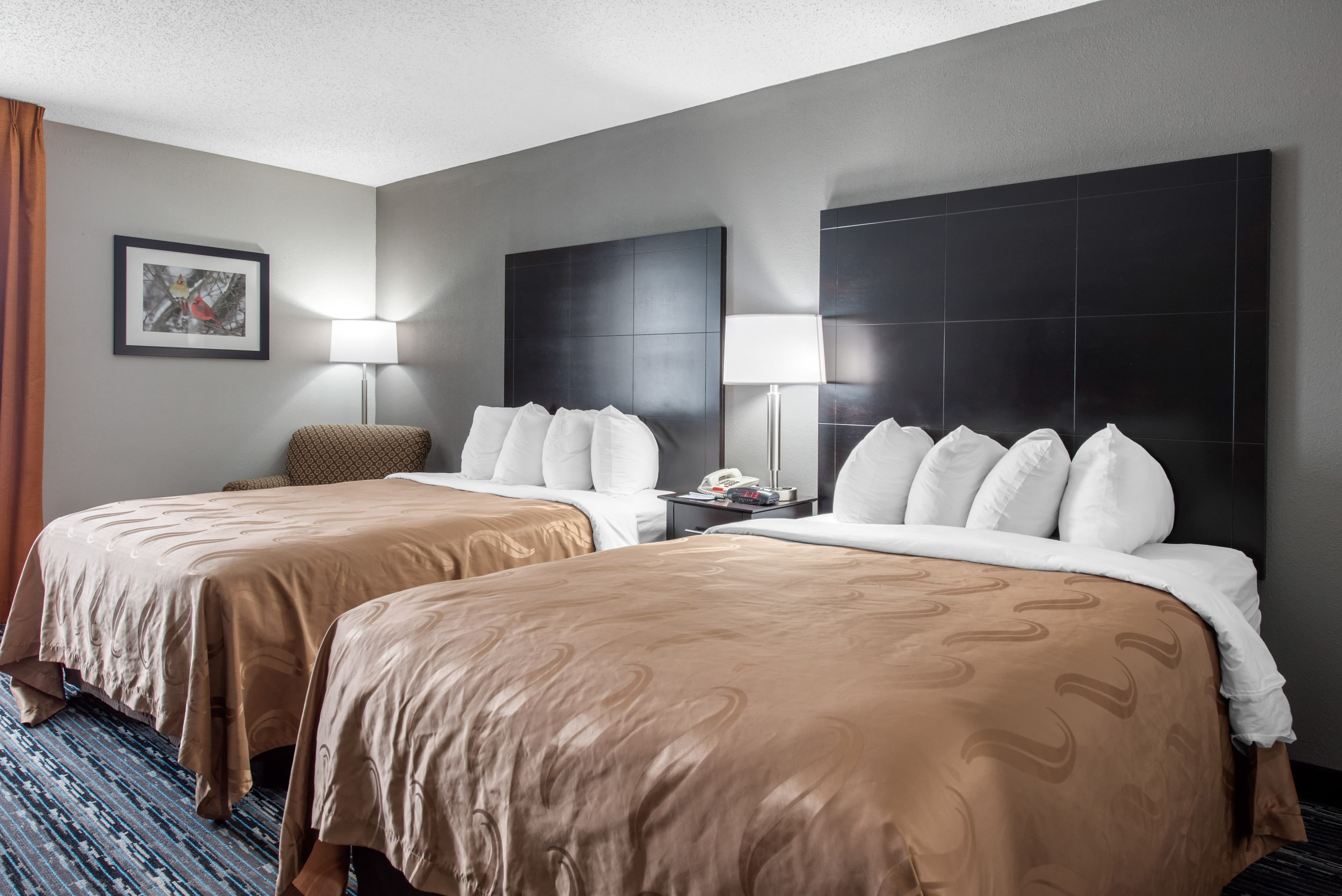 Quality Inn & Suites Brownsburg - Indianapolis West - Image 4