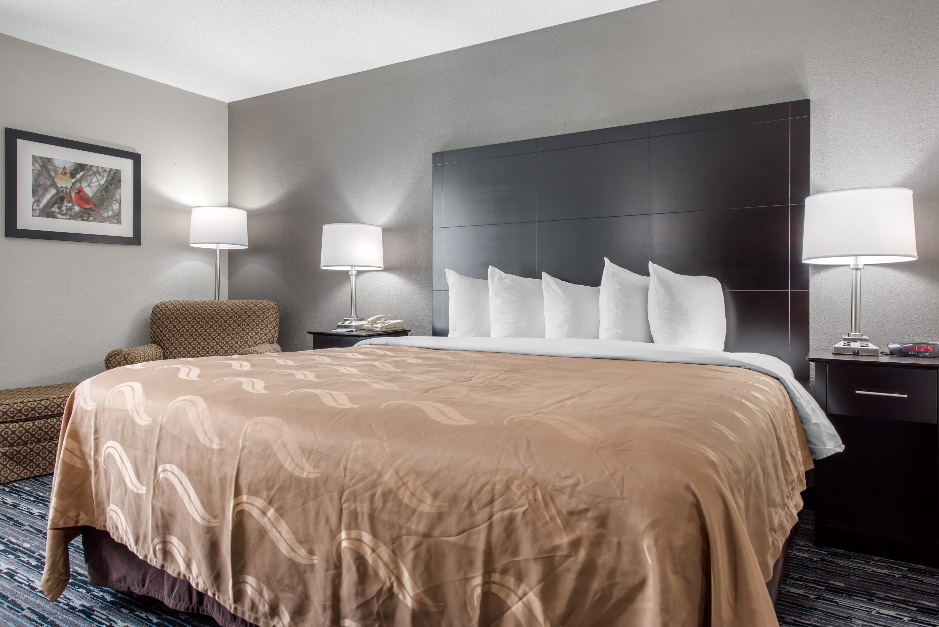 Quality Inn & Suites Brownsburg - Indianapolis West — 7