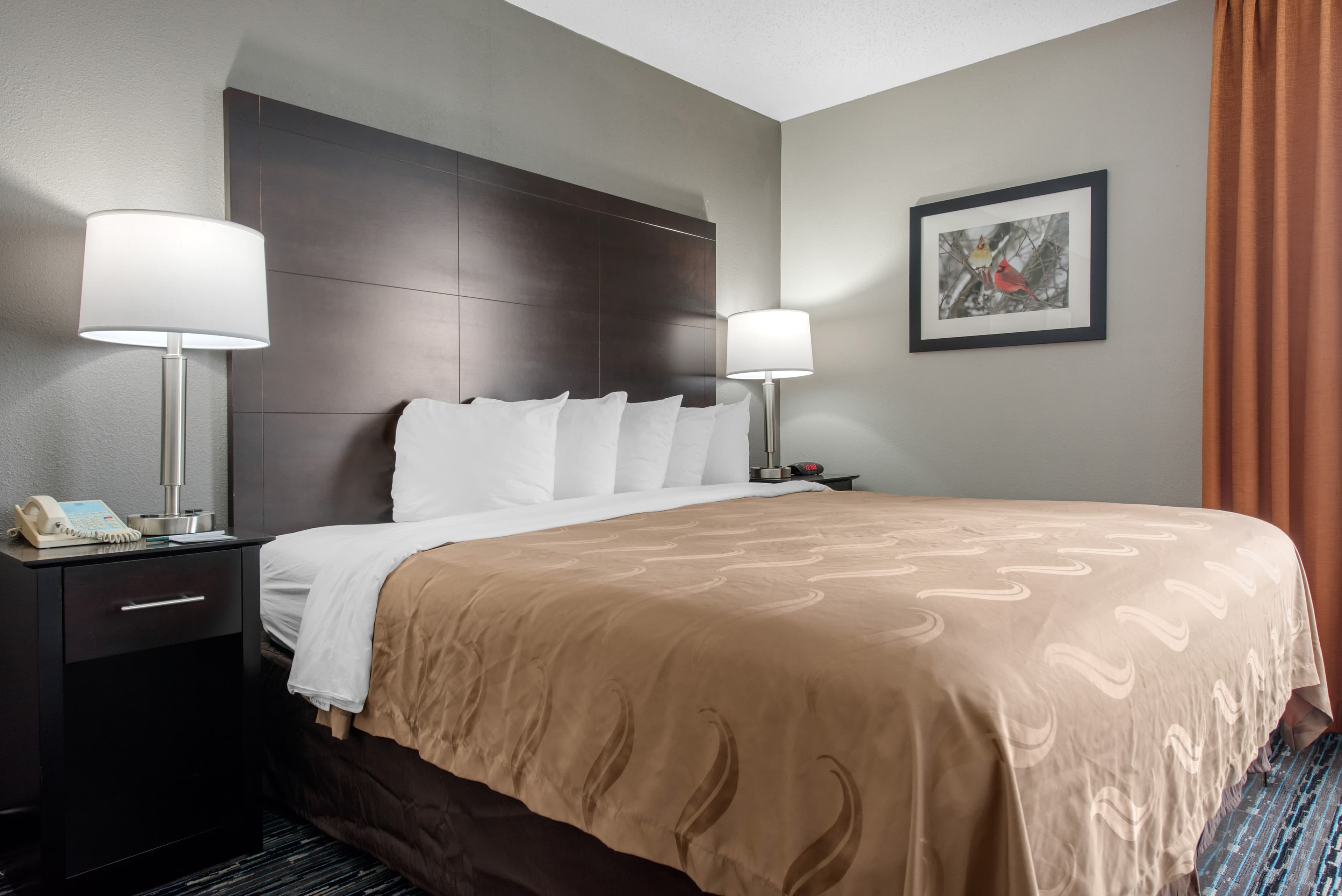 Quality Inn & Suites Brownsburg - Indianapolis West — 30
